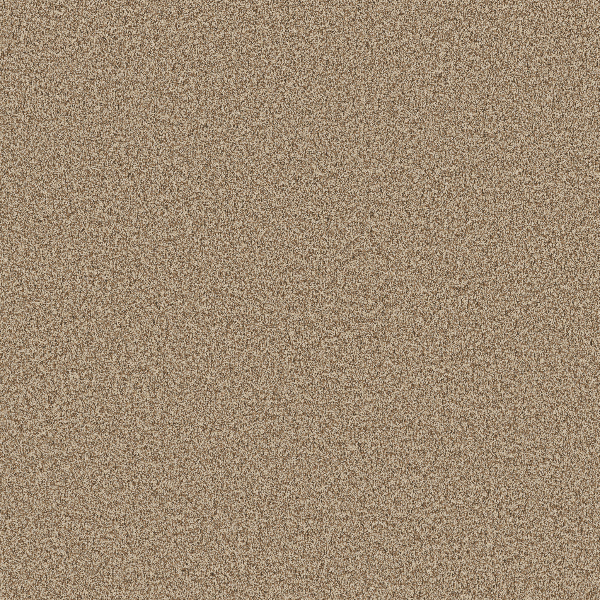 BOSSA NOVA NUTSHELL MAIN