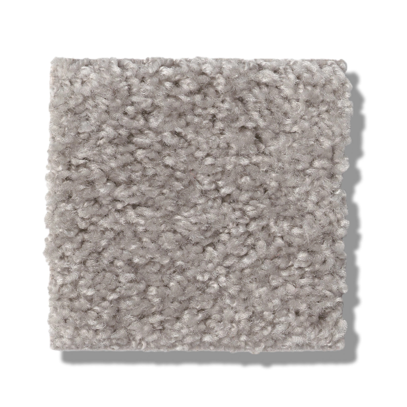 VALIANT LA PALOMA SWATCH