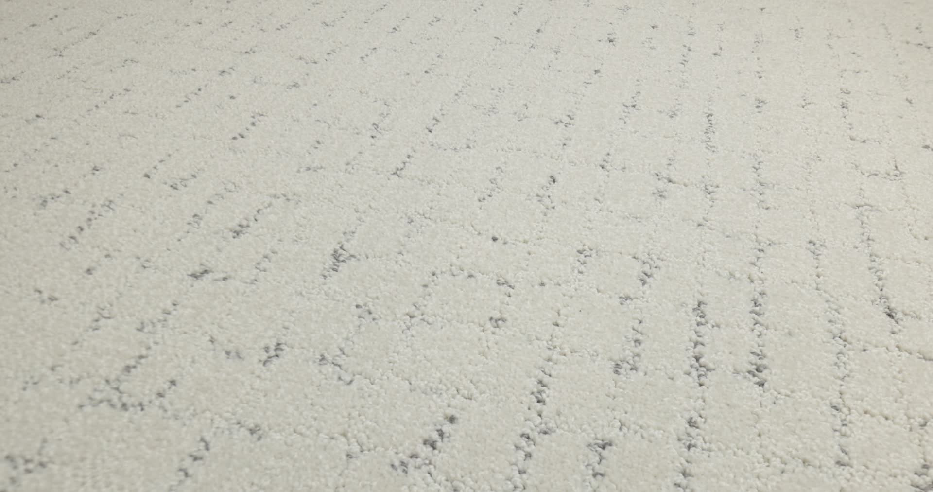 BLOCK PARTY SNOWFALL 360PROD