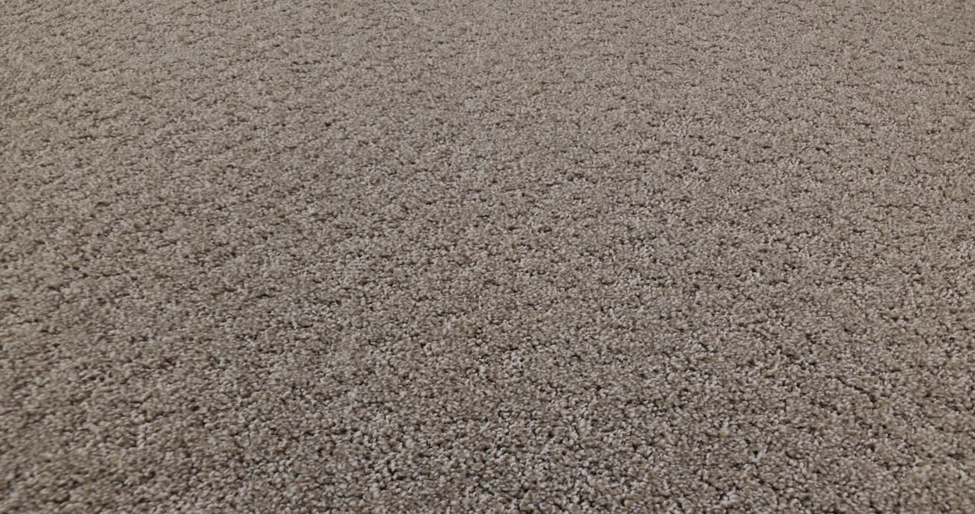 SECRET ADVENTURE MOCHA 360PROD