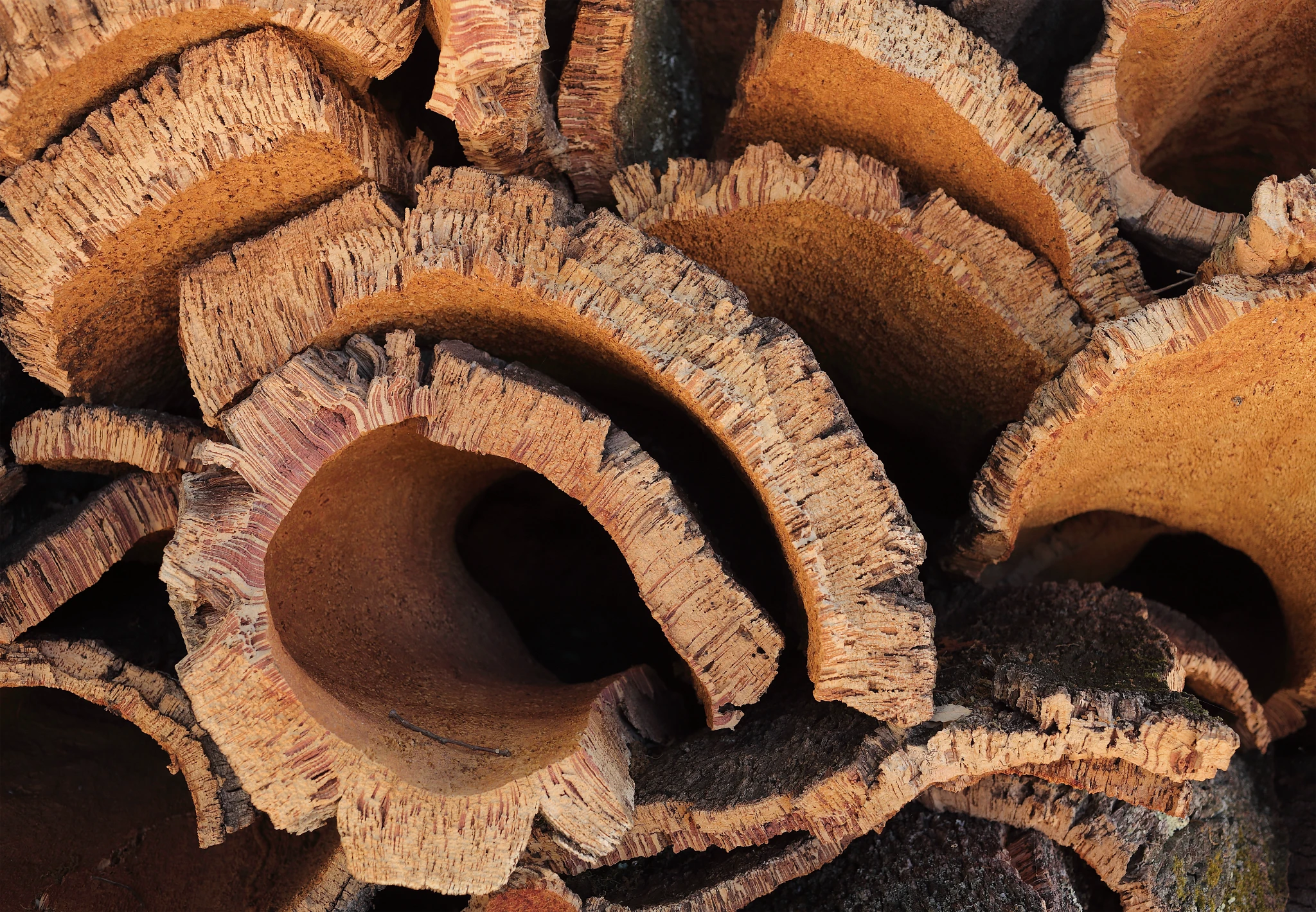 Close-up of natural cork bark texture showcasing intricate patterns and earthy tones