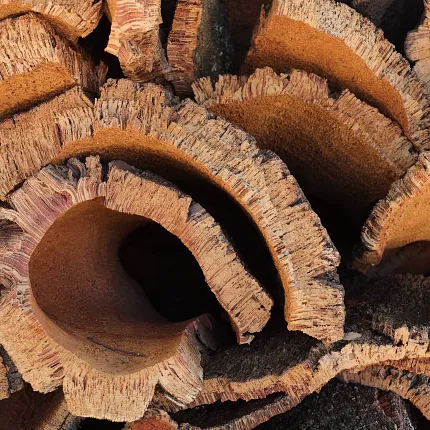 Natural Cork Bark Texture for Innovative Flooring Design Close-up of natural cork bark texture showcasing intricate patterns and earthy tones