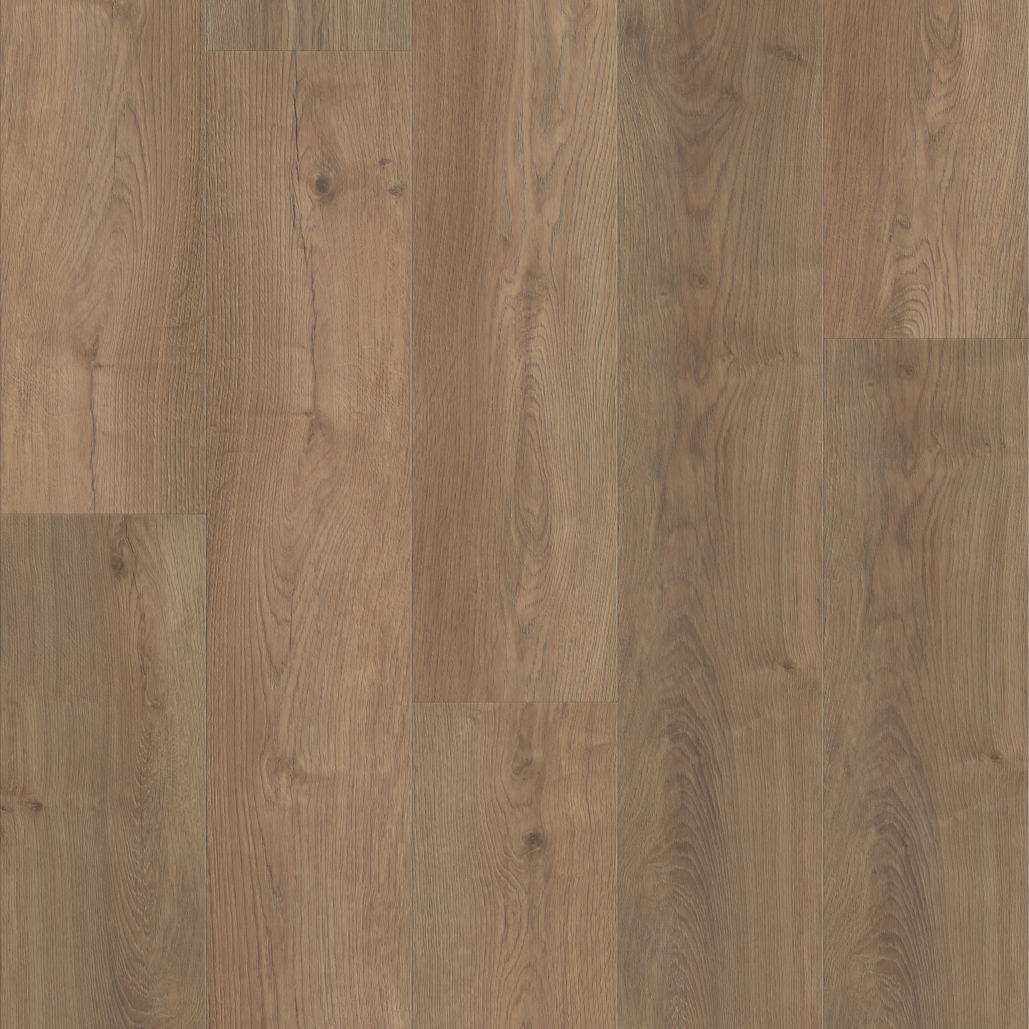 Fresh Take - in Cabriole Brown | Shaw Floors
