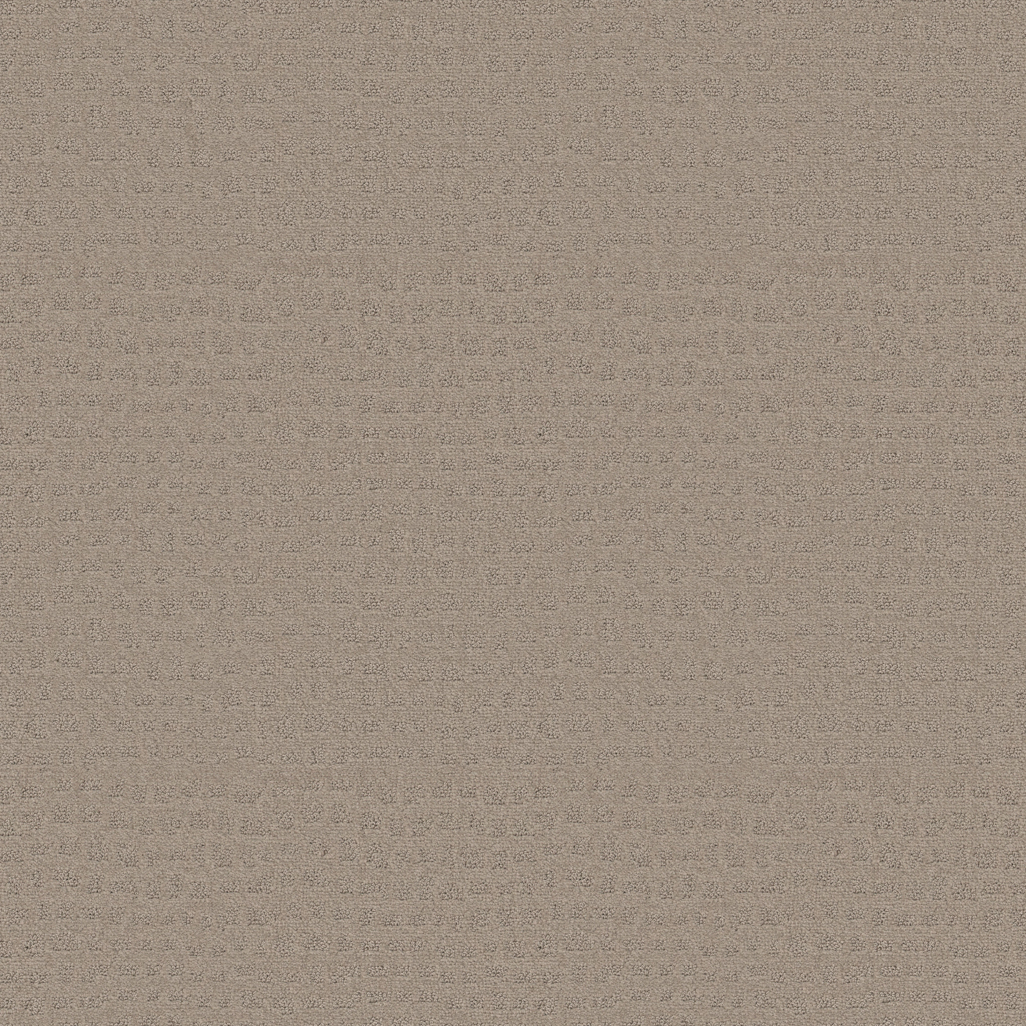 SOLSTICE BARISTA MAIN