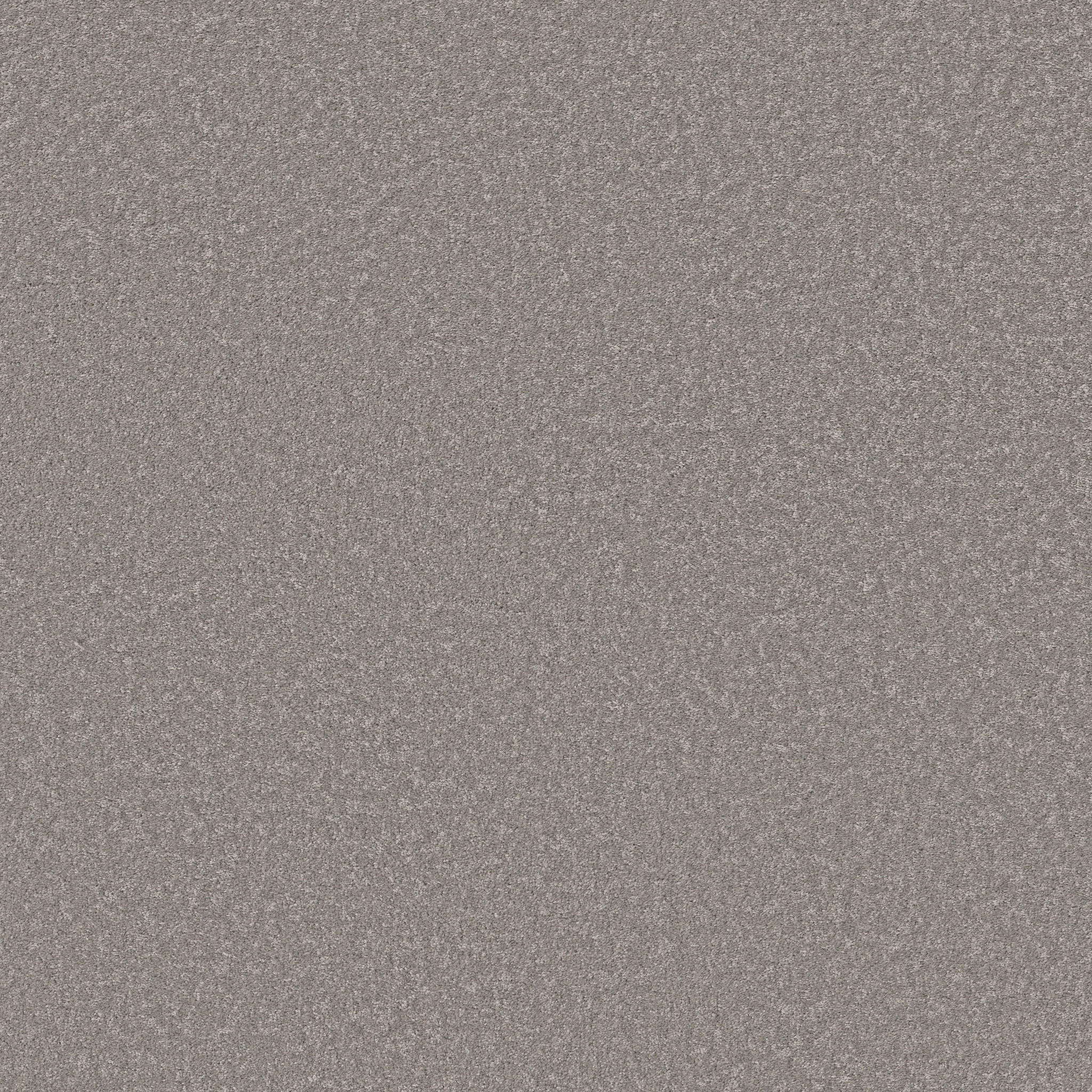 WAY TO GO I CHICAGO FOG MAIN