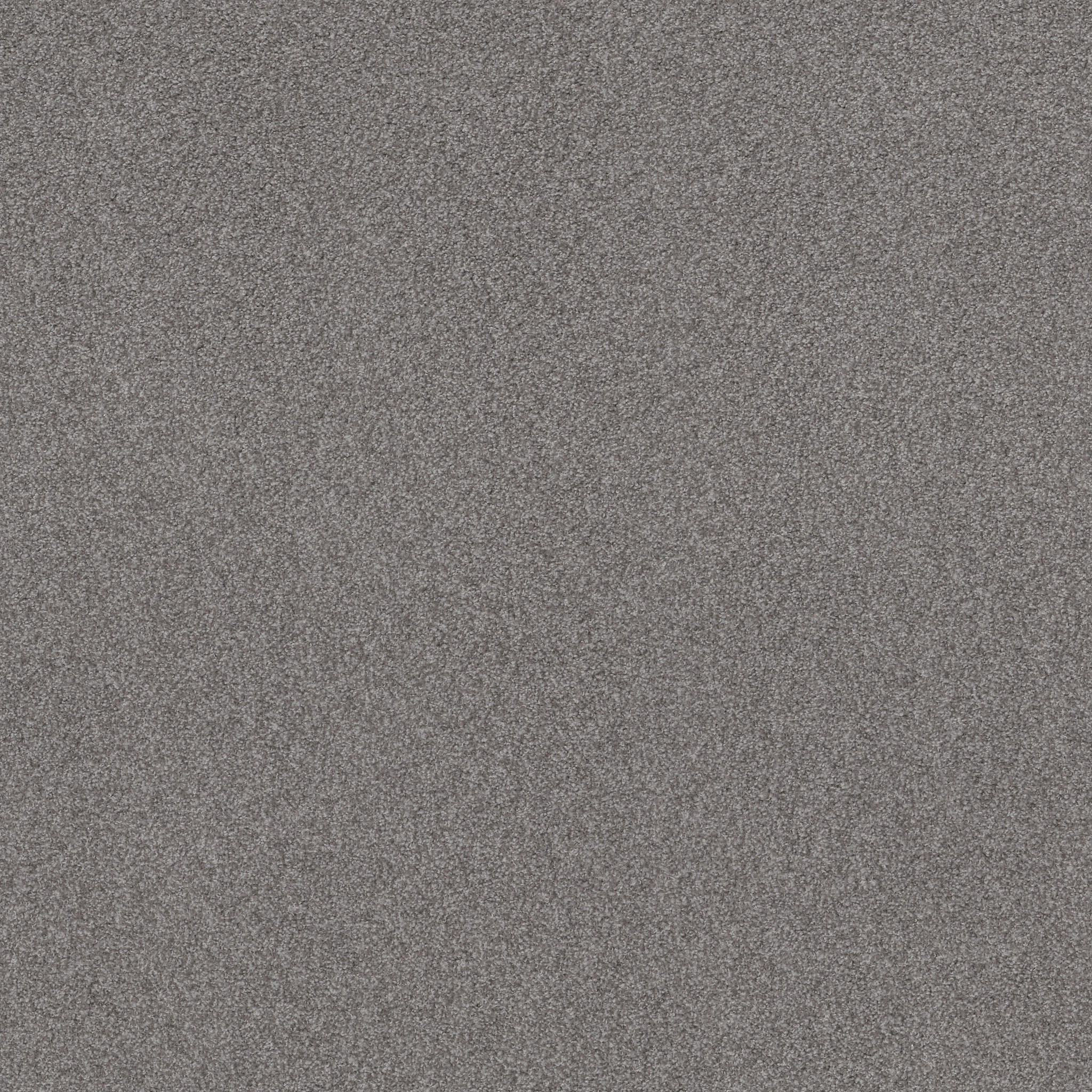 SWEET INSPIRATION I CHARCOAL MAIN