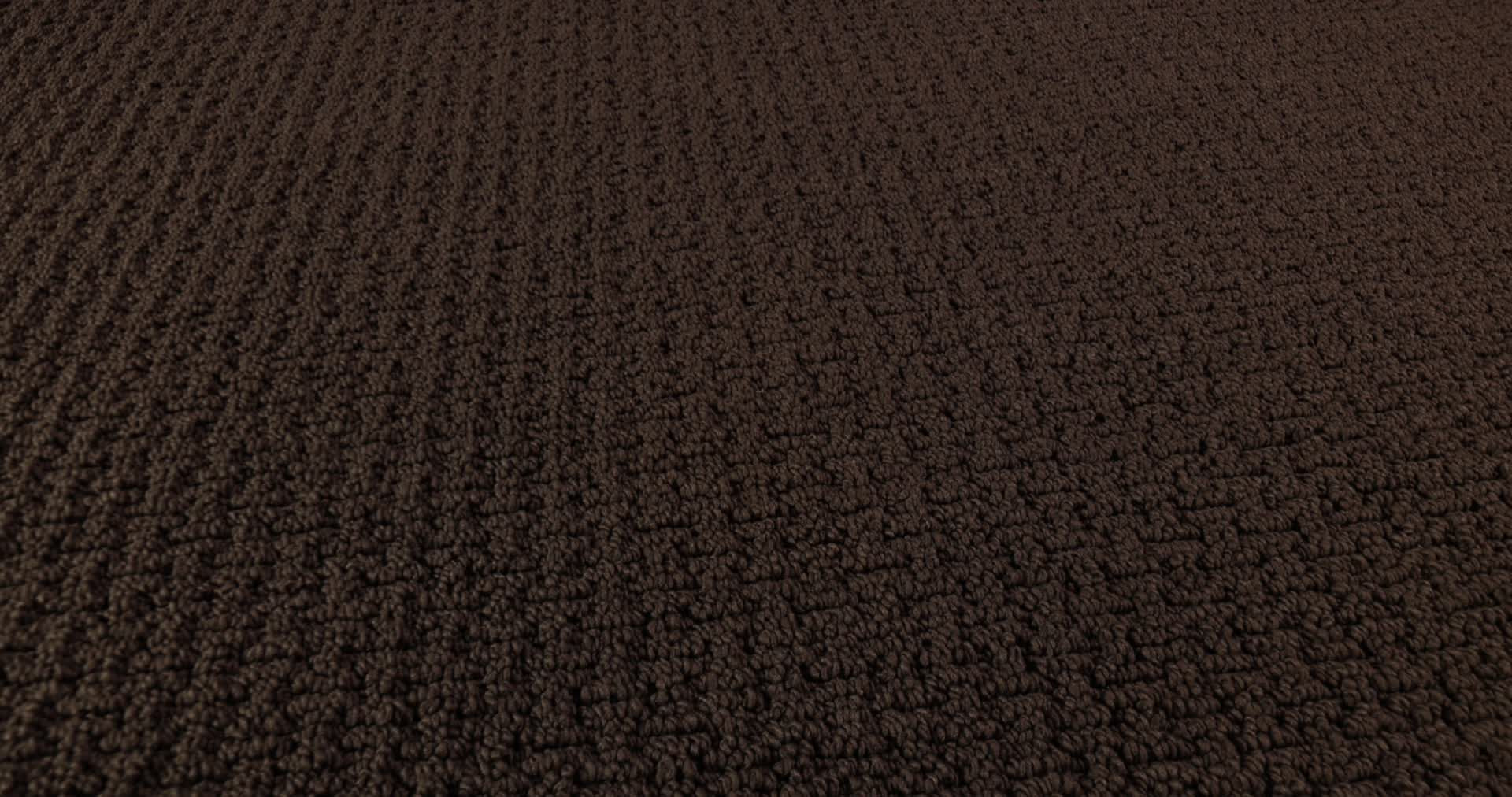 CASUAL LIFE KOLA NUT 360PROD