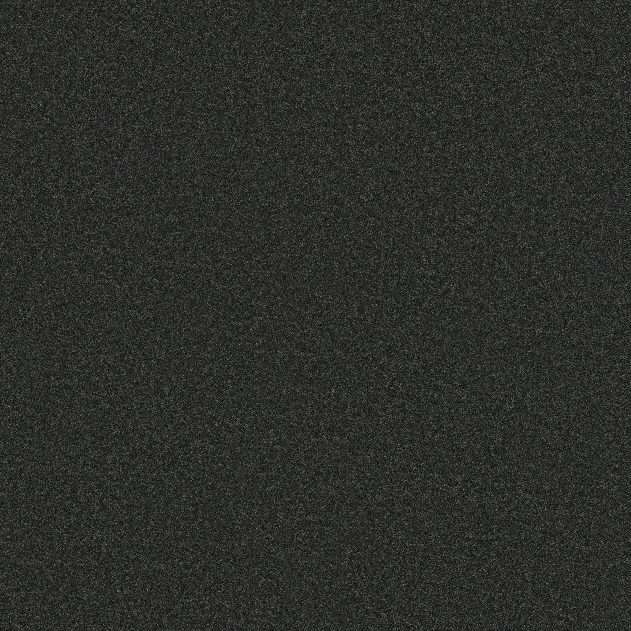 SHINGLE CREEK IV 15' GRAPHITE MAIN