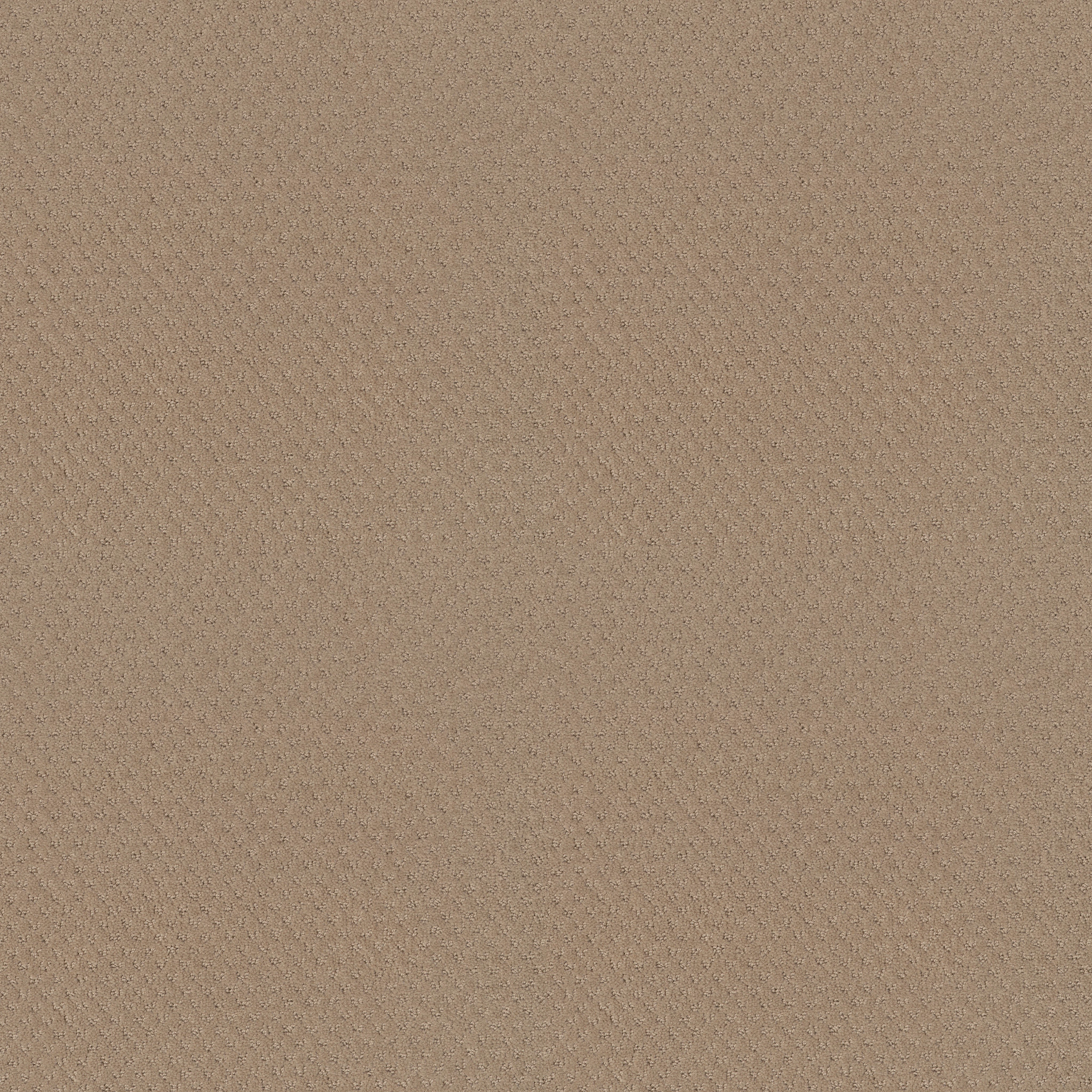 DEL VISTA BEACH GRASS MAIN