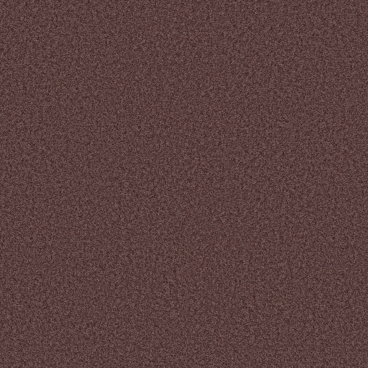 Shaw Floors OCEAN PINES 12' — AMETHYST SKY