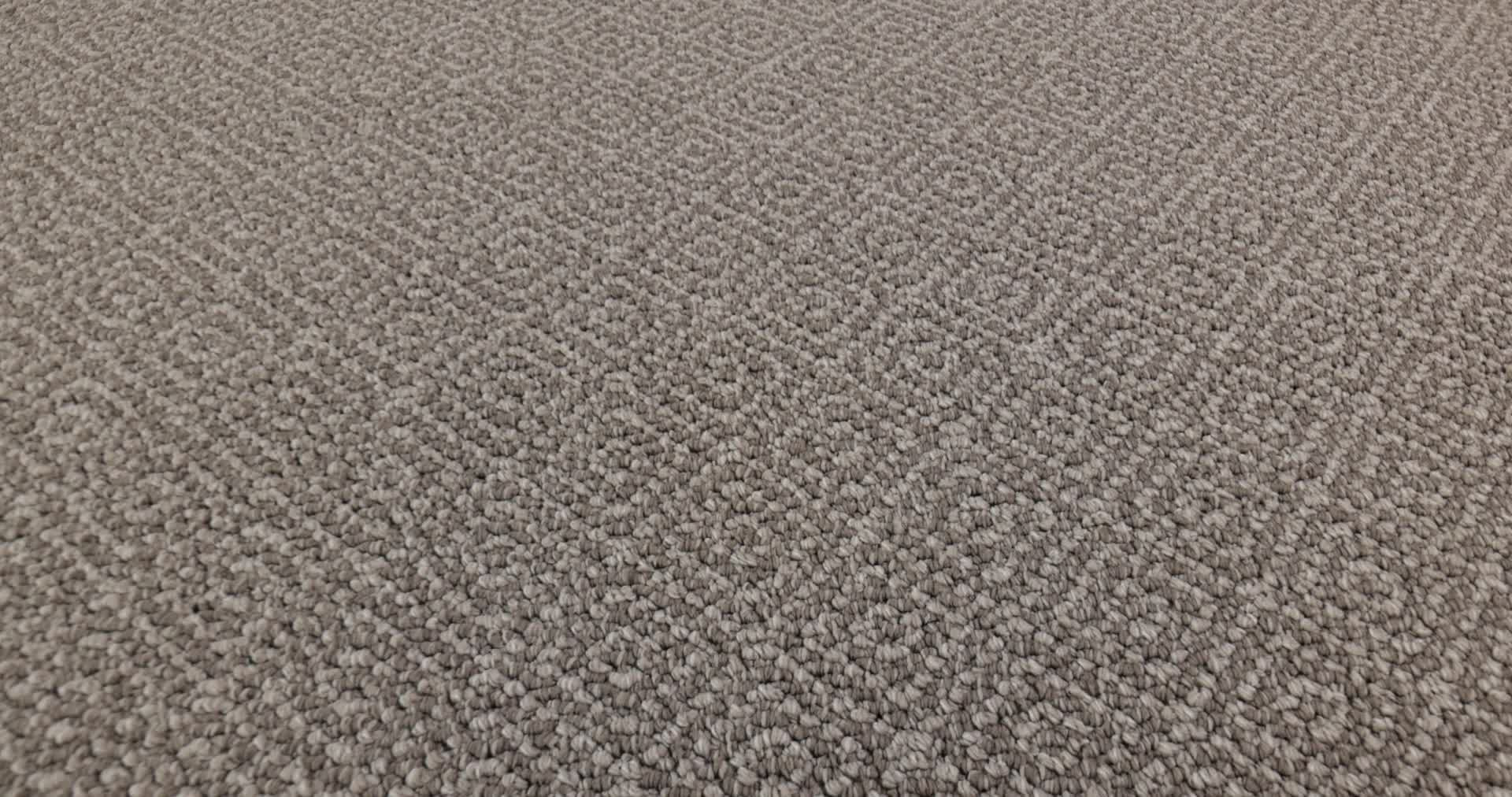 STROLL SHORELINE 360PROD