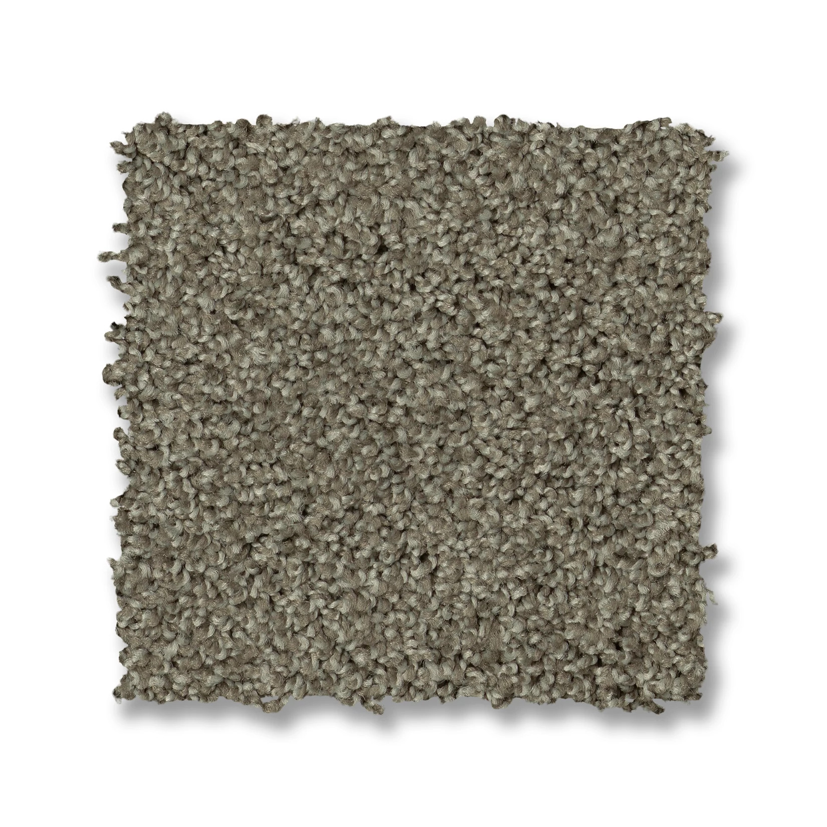 ACADIA PARK CITY GRAY SWATCH