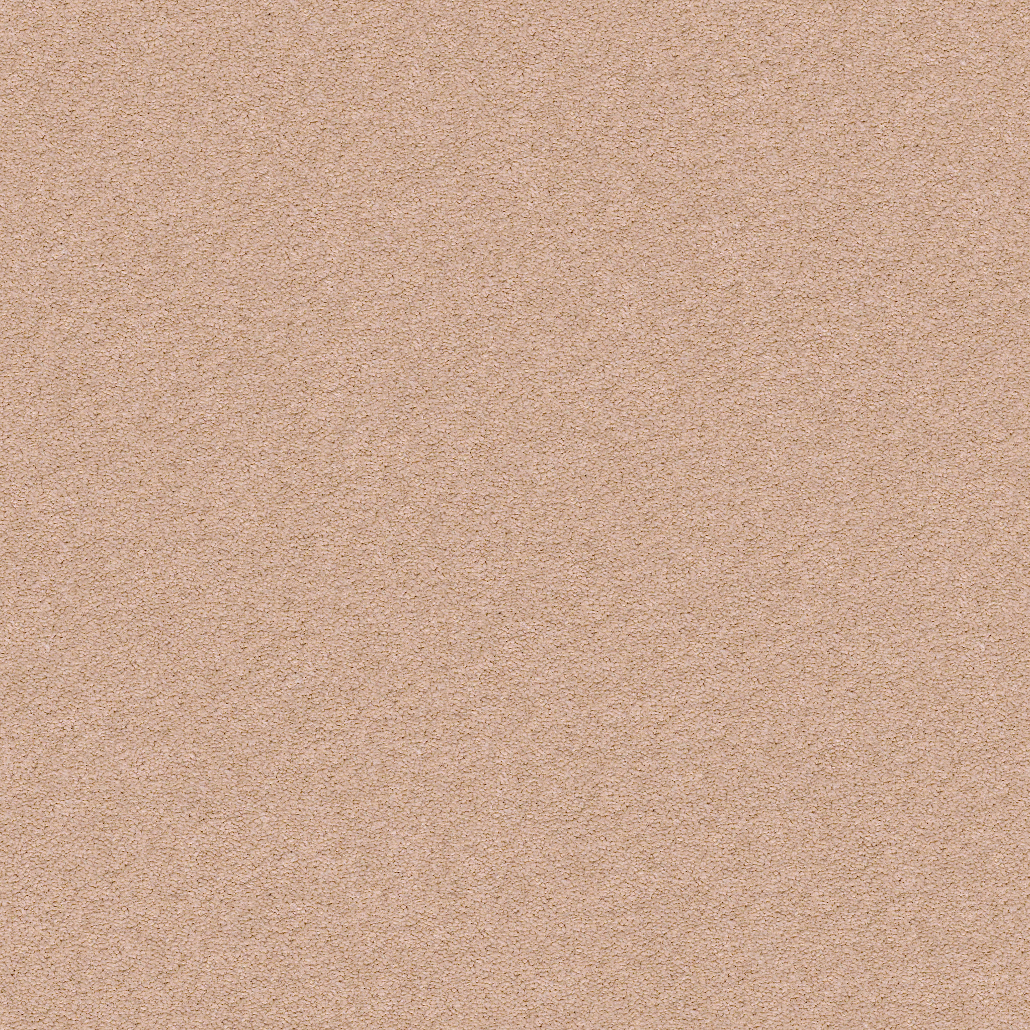 PERFECT CHOICE ROSE CIDER MAIN