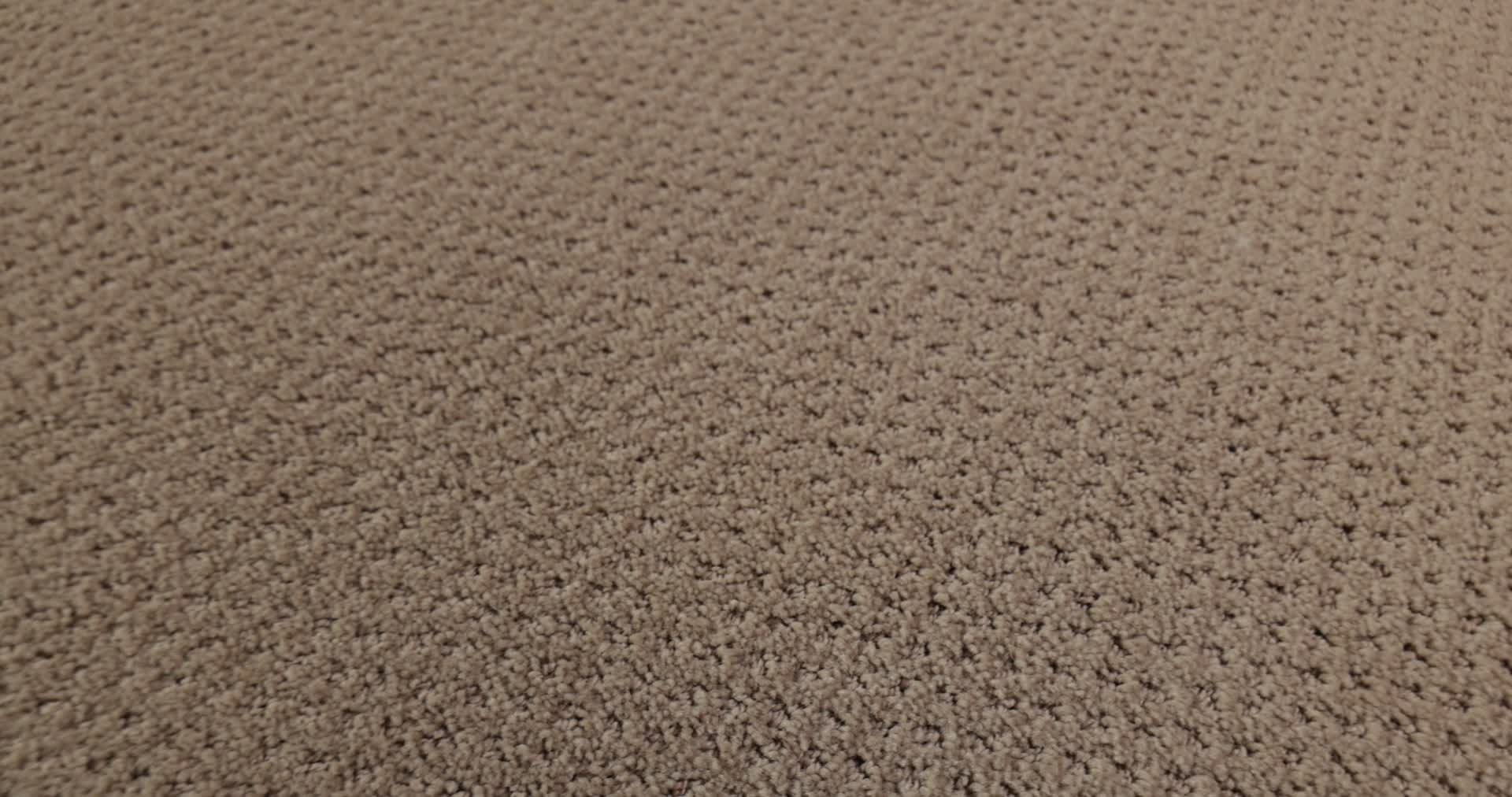 AUSTIN PARK PURE EARTH 360PROD