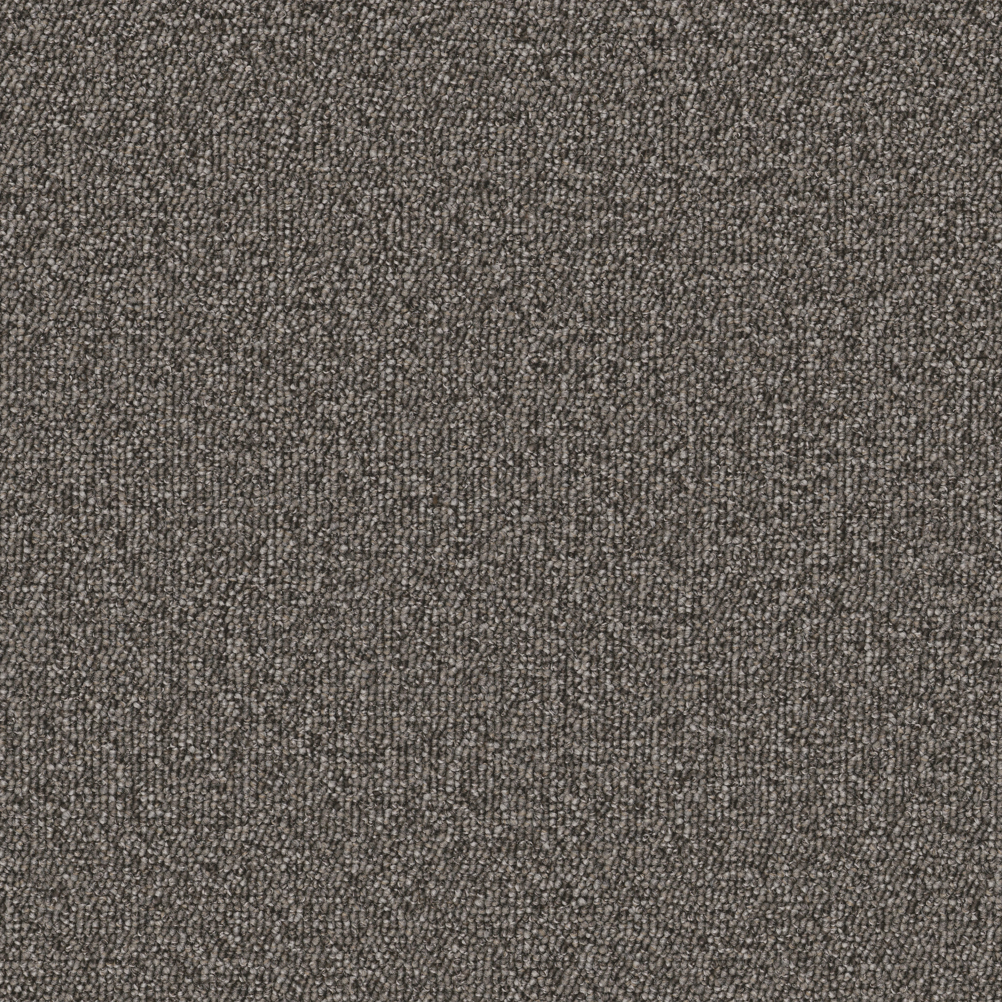 AVENUE-54989-ARTHUR-00708-main-image