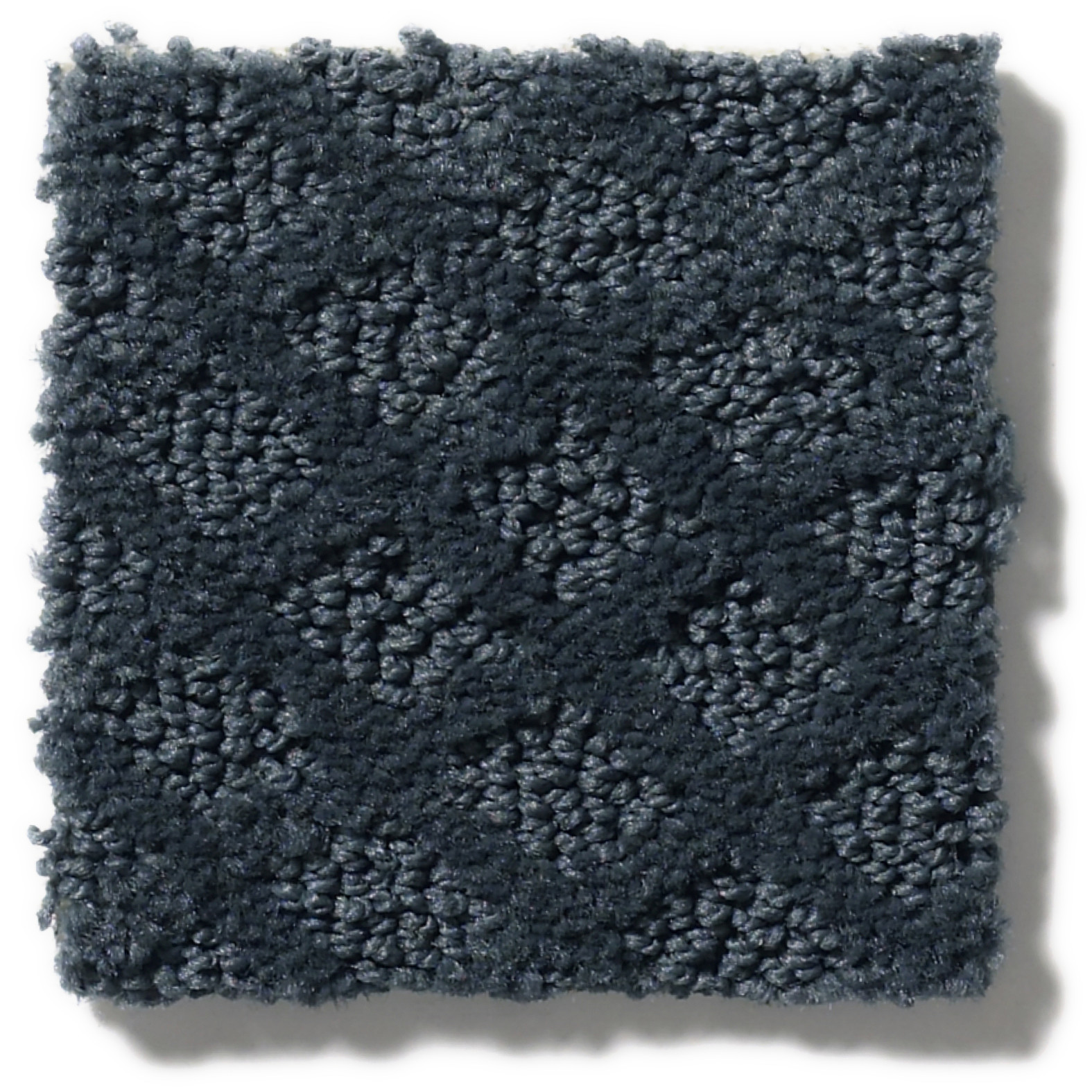 ENTWINED WITH YOU MODERN SPACES SWATCH