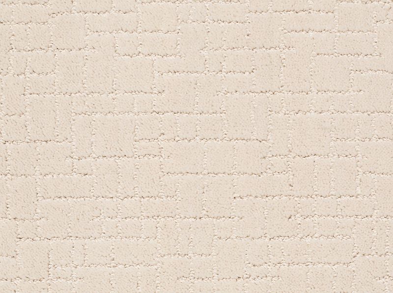 Faux Paw Broadloom Carpet in Silver Fox, 100% Nylon, 12ft width, perfect for residential use.