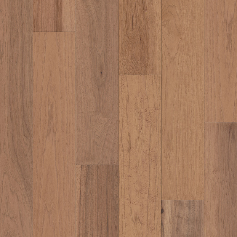 EXPLORATION HICKORY in Dune by Shaw Floors