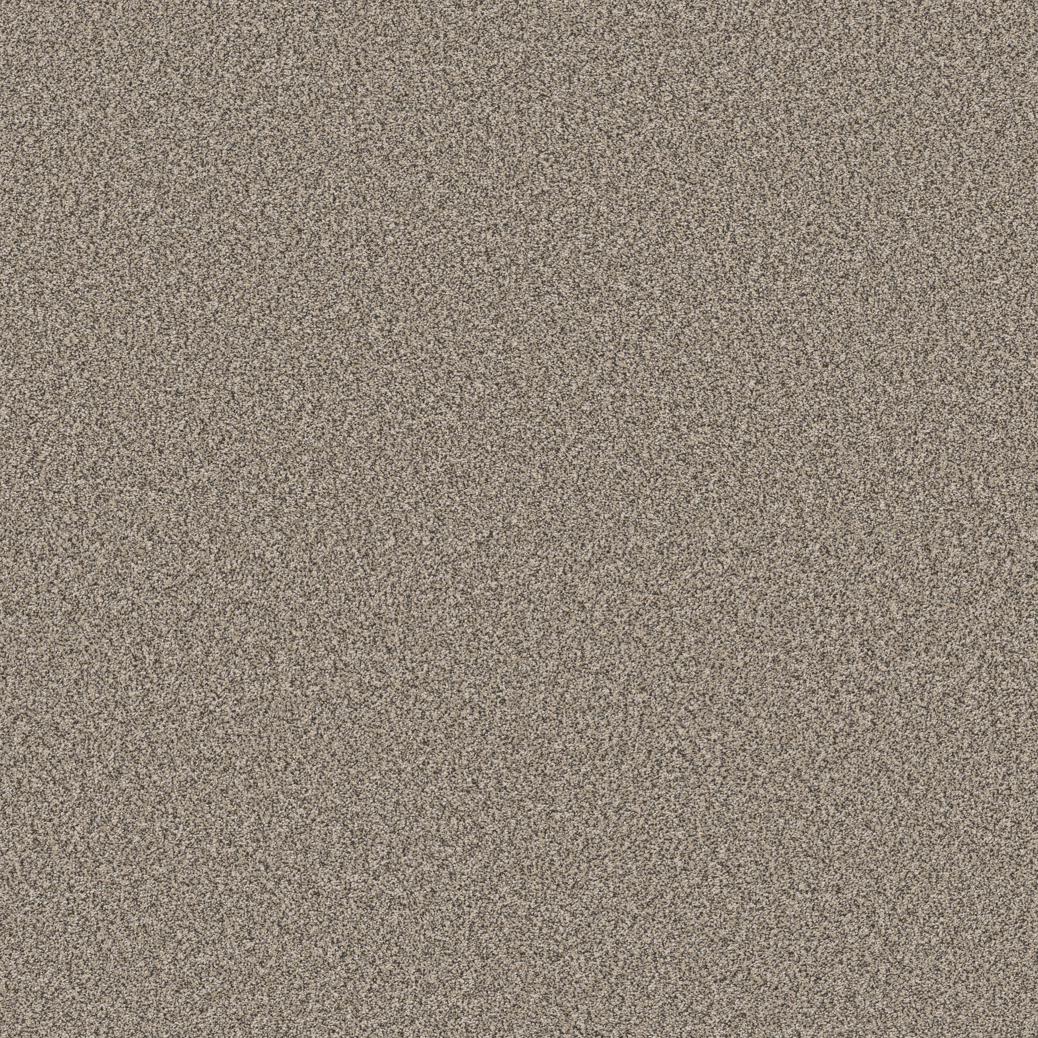 KALEIDOSCOPE SANDY COVE MAIN