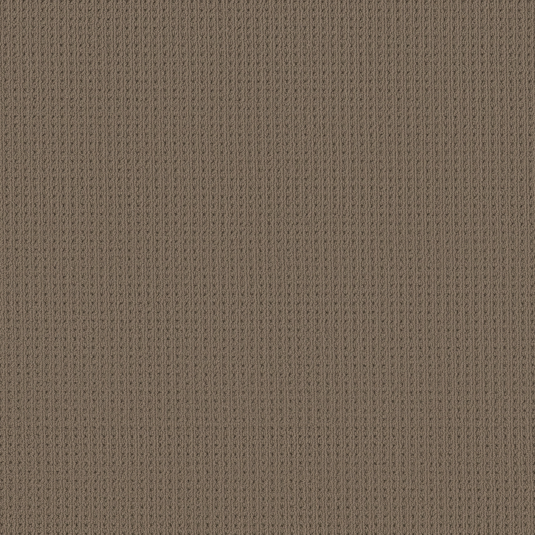 SAN LUCAS HOMESTEAD MAIN