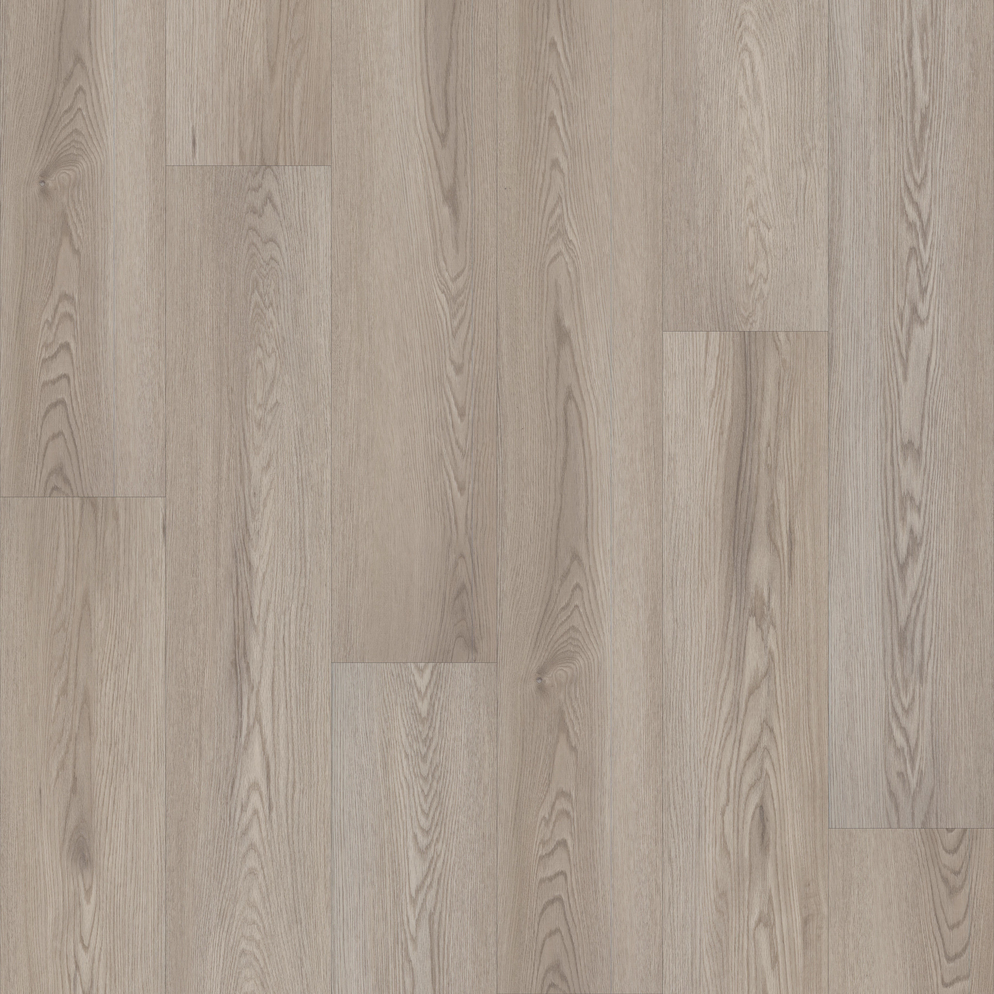 PHILOSOPHER'S-TREE-5599V-WEATHERED-BARK-00107-main-image