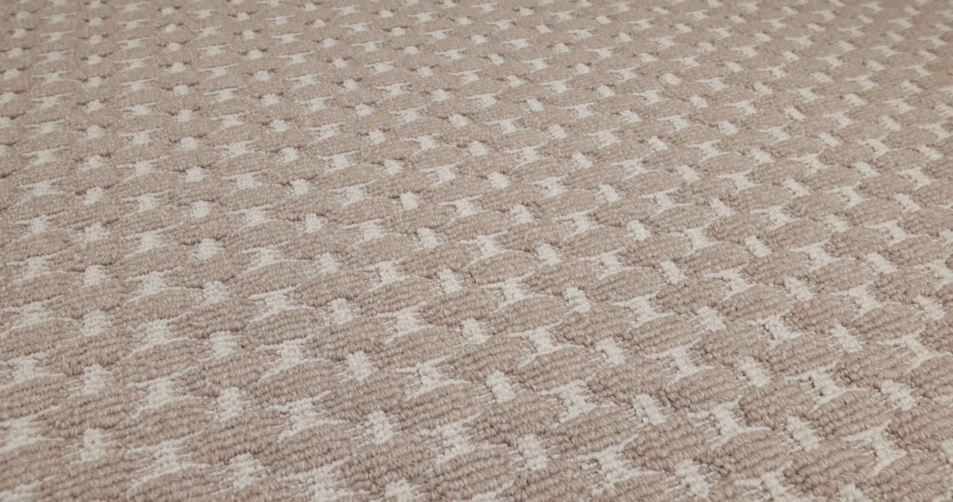 HAVENCREST BLOSSOM 360PROD