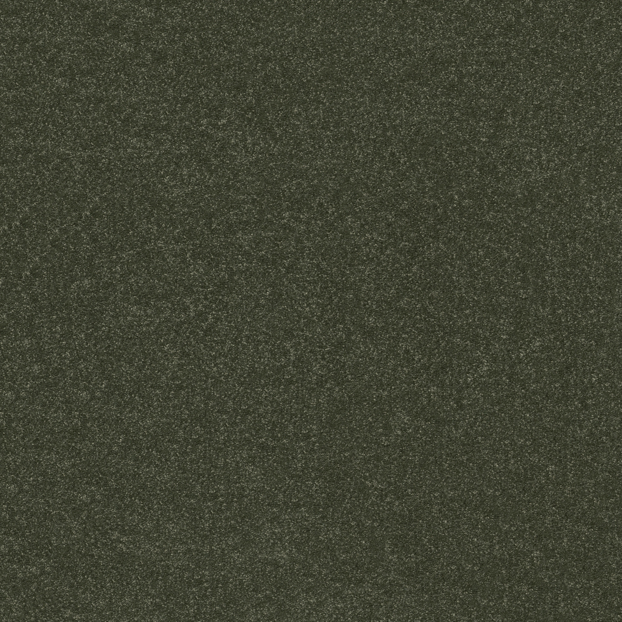 HARD AT PLAY II 12' REROOTED NATURE MAIN