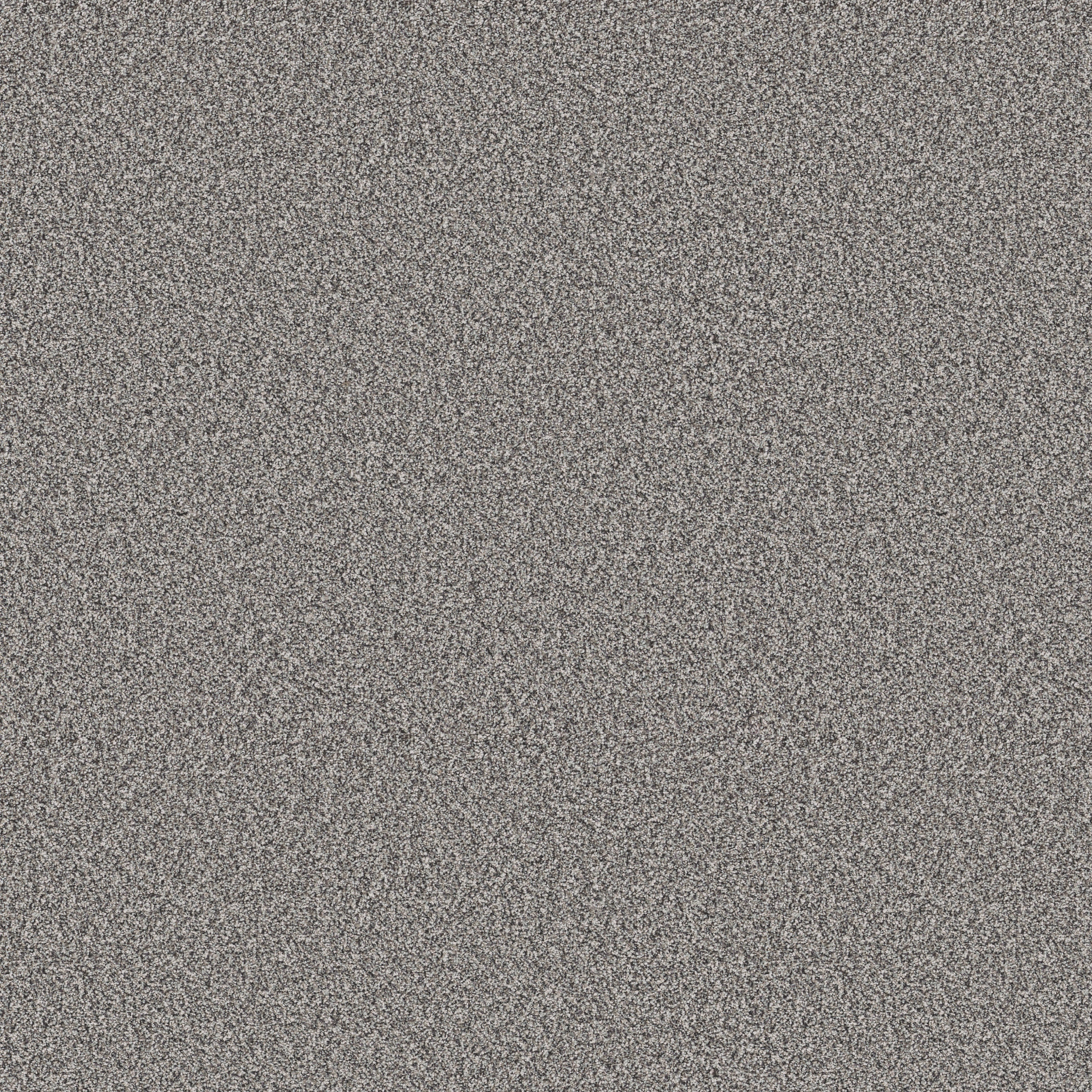 ELEVATED II LONDON FOG MAIN