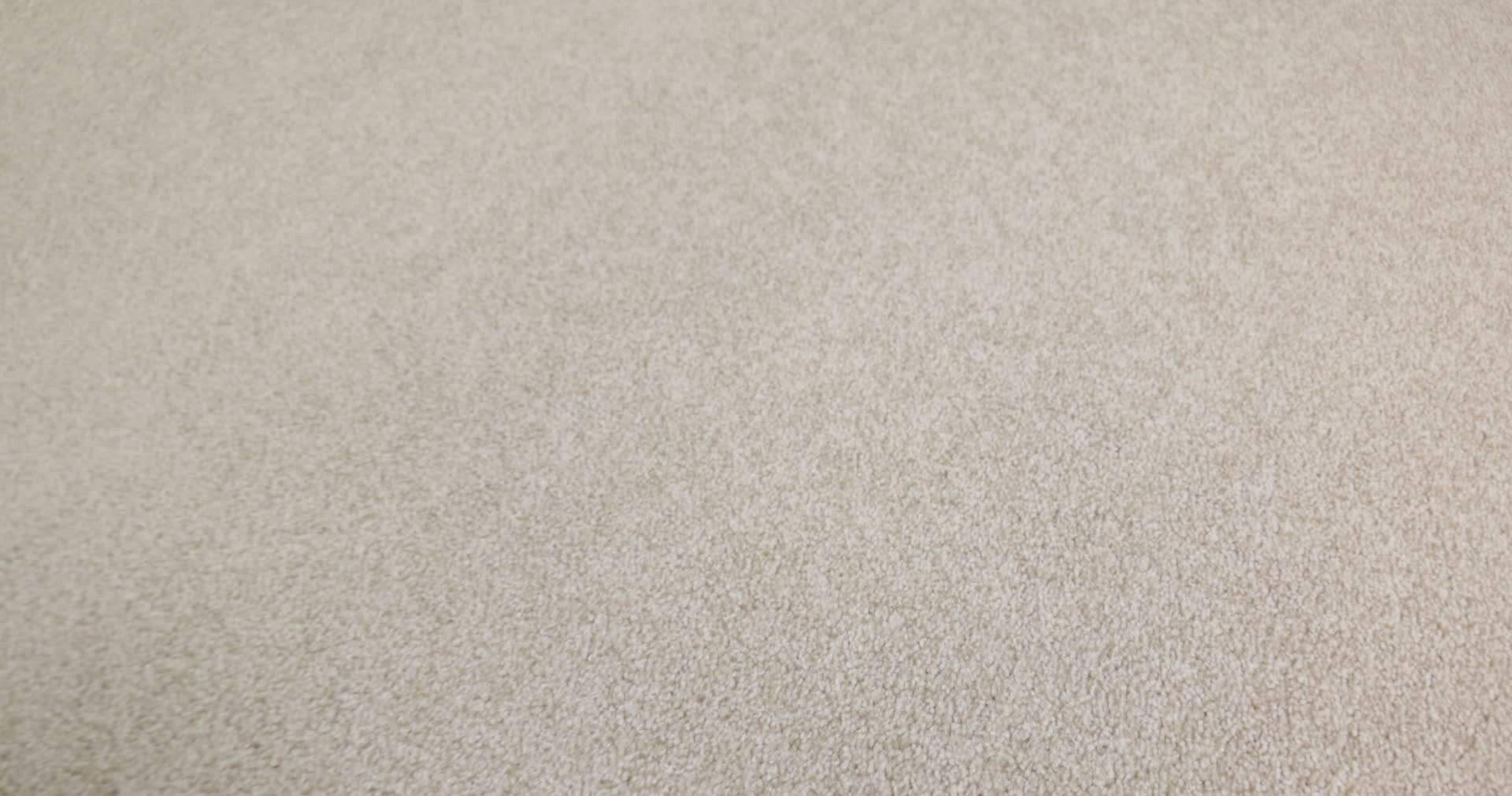 AG True Delight I NIGHT LIGHT 360PROD