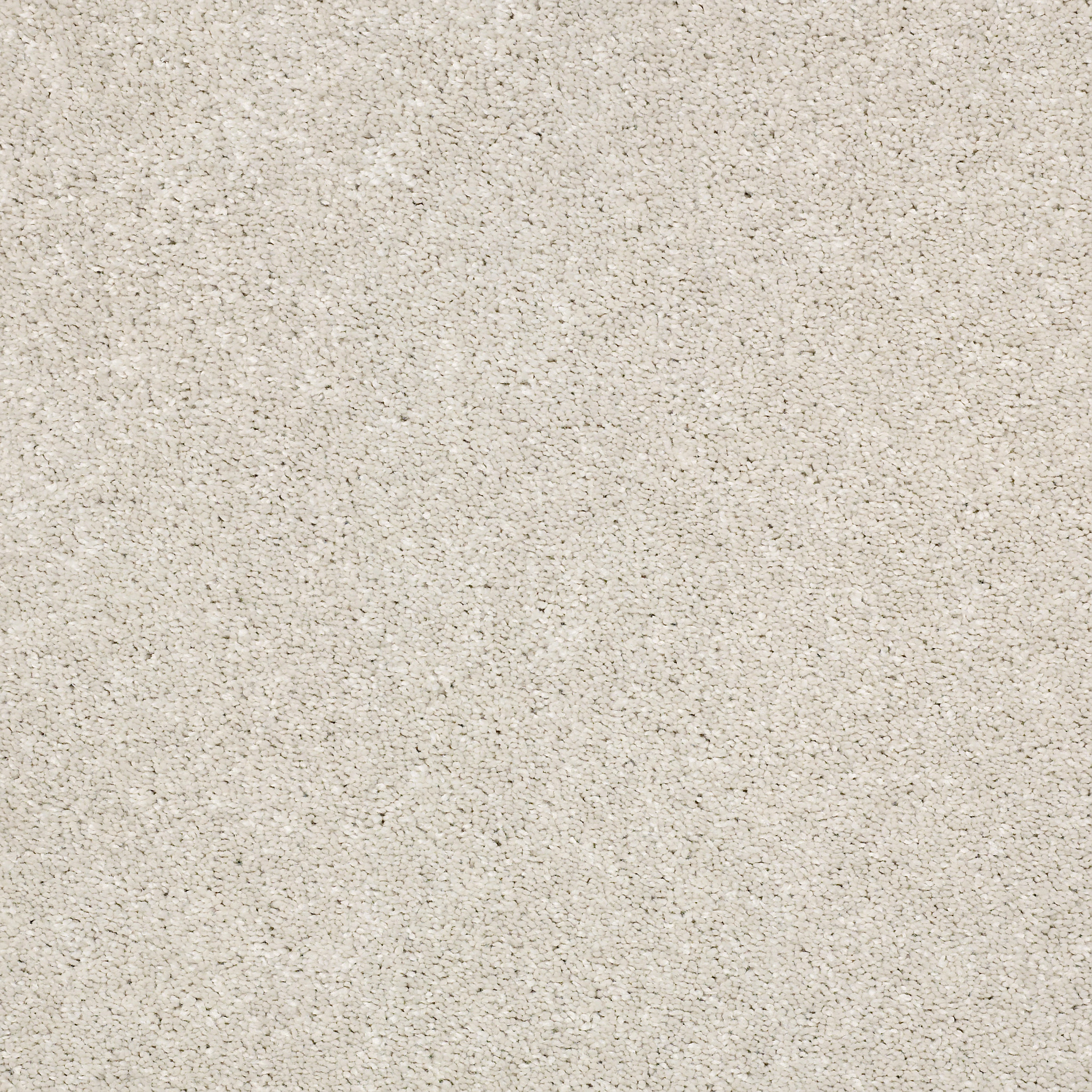 AFTER ALL I CRUSHED SHELL MAIN