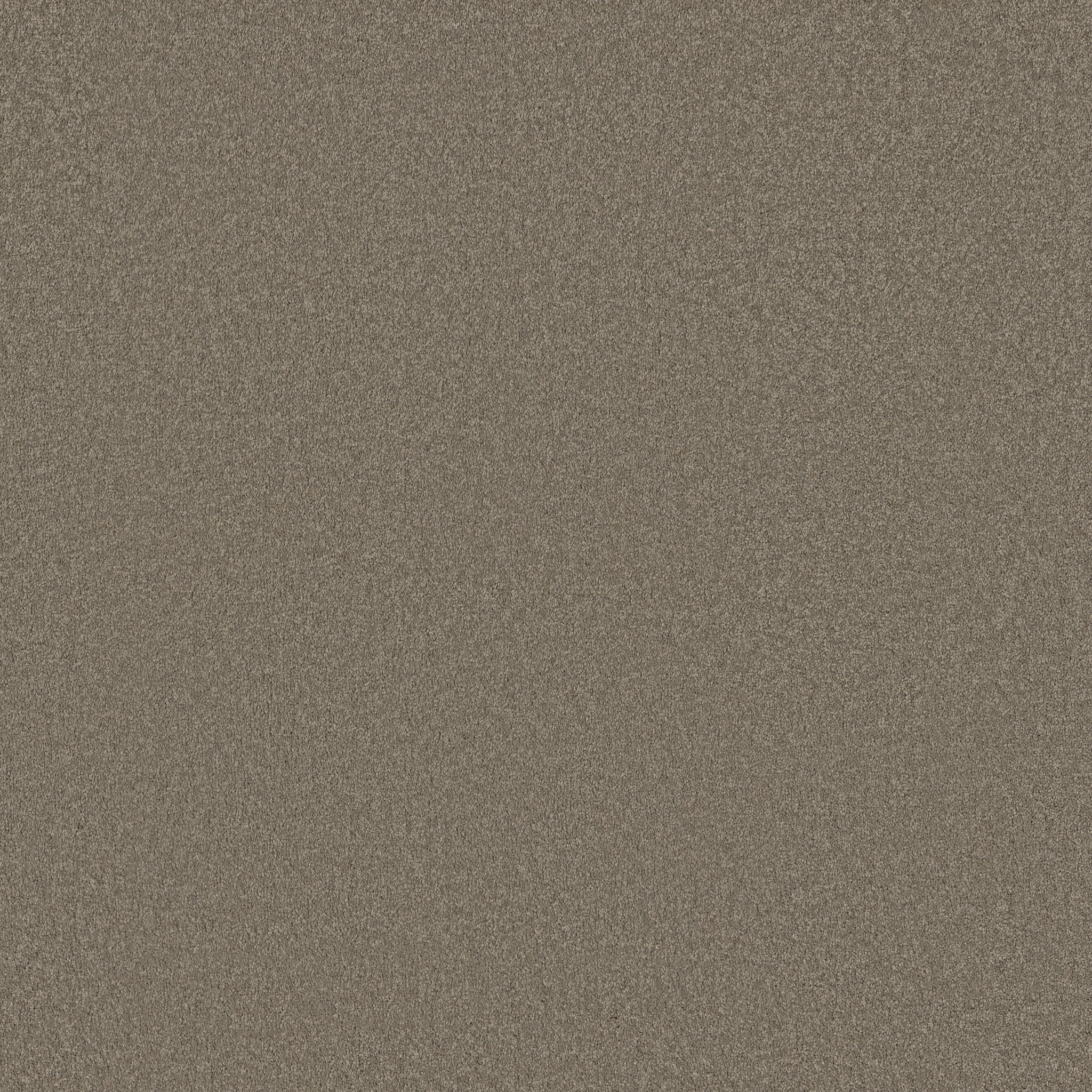 SANDY HOLLOW CLASSIC I 12' WOOD SMOKE MAIN