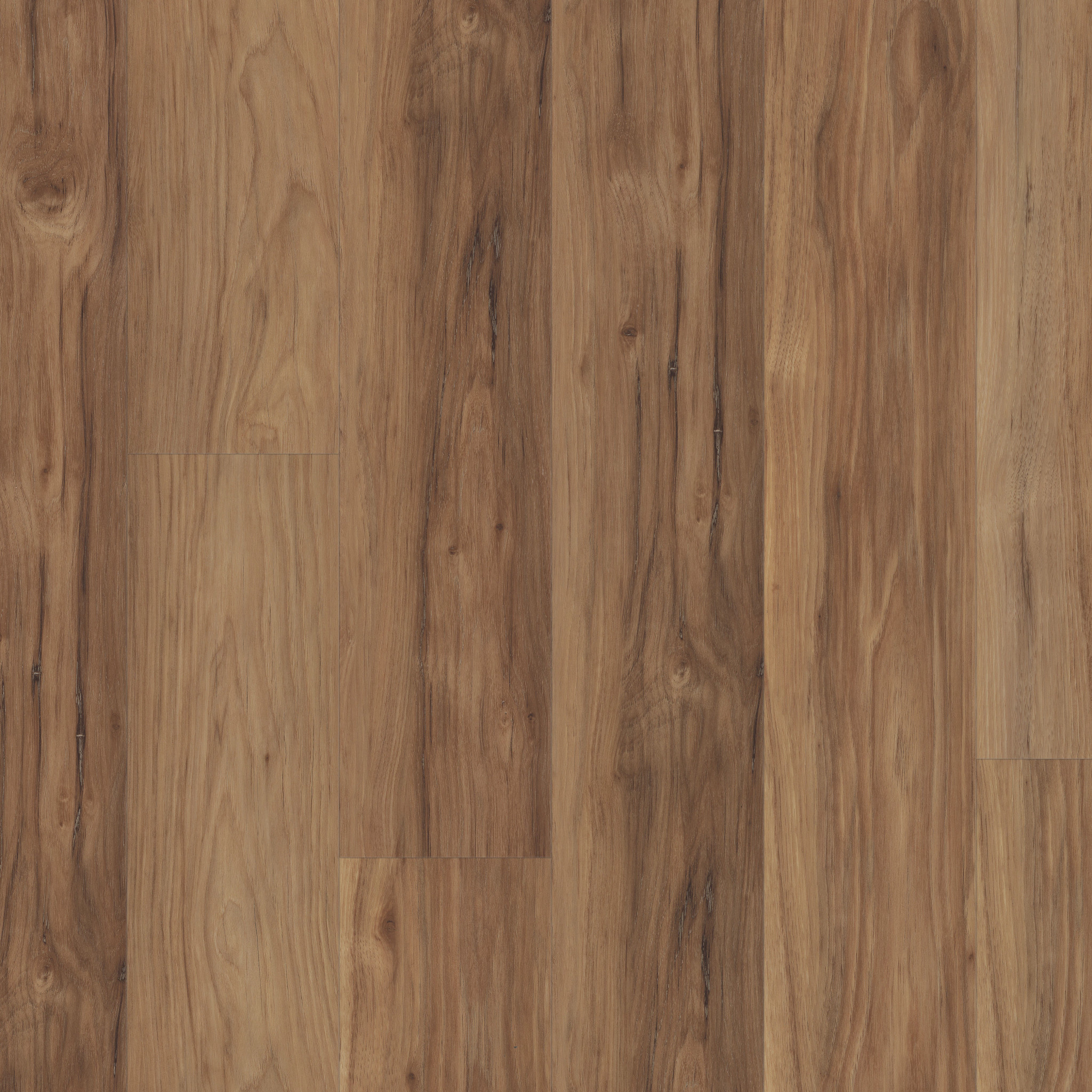 IGNITE TORCHWOOD MAIN