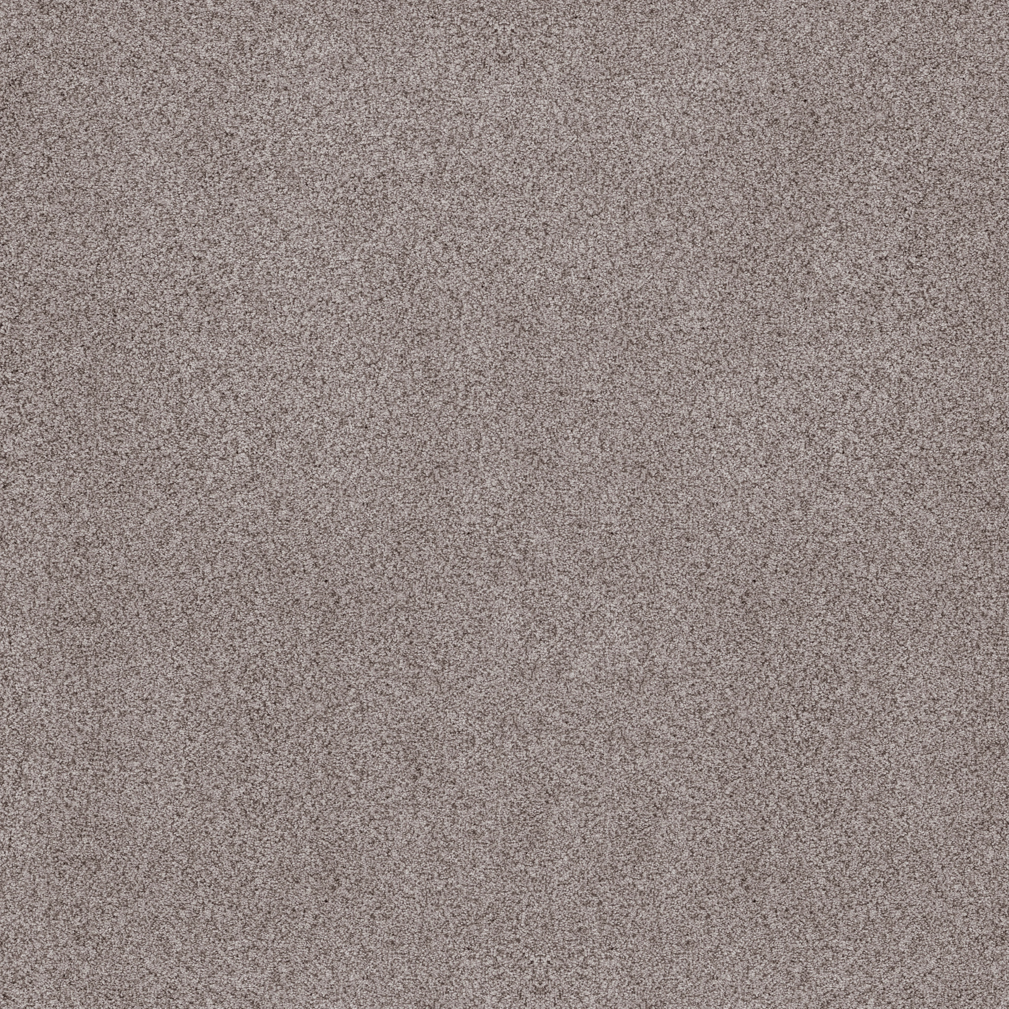 SUMPTUOUS I RUSTIC GRAY MAIN