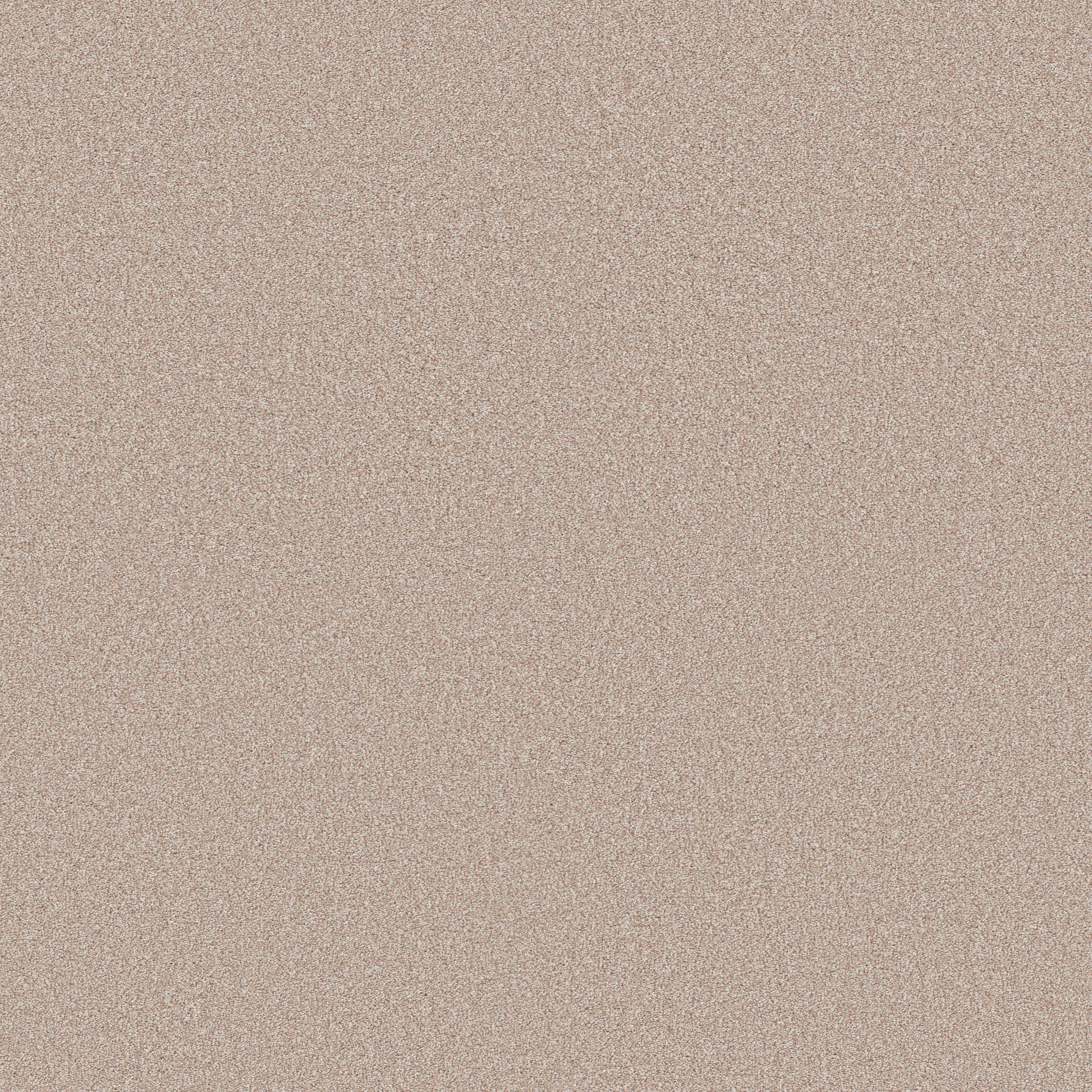 CLASSIC TONE BLISSFUL BLUSH MAIN