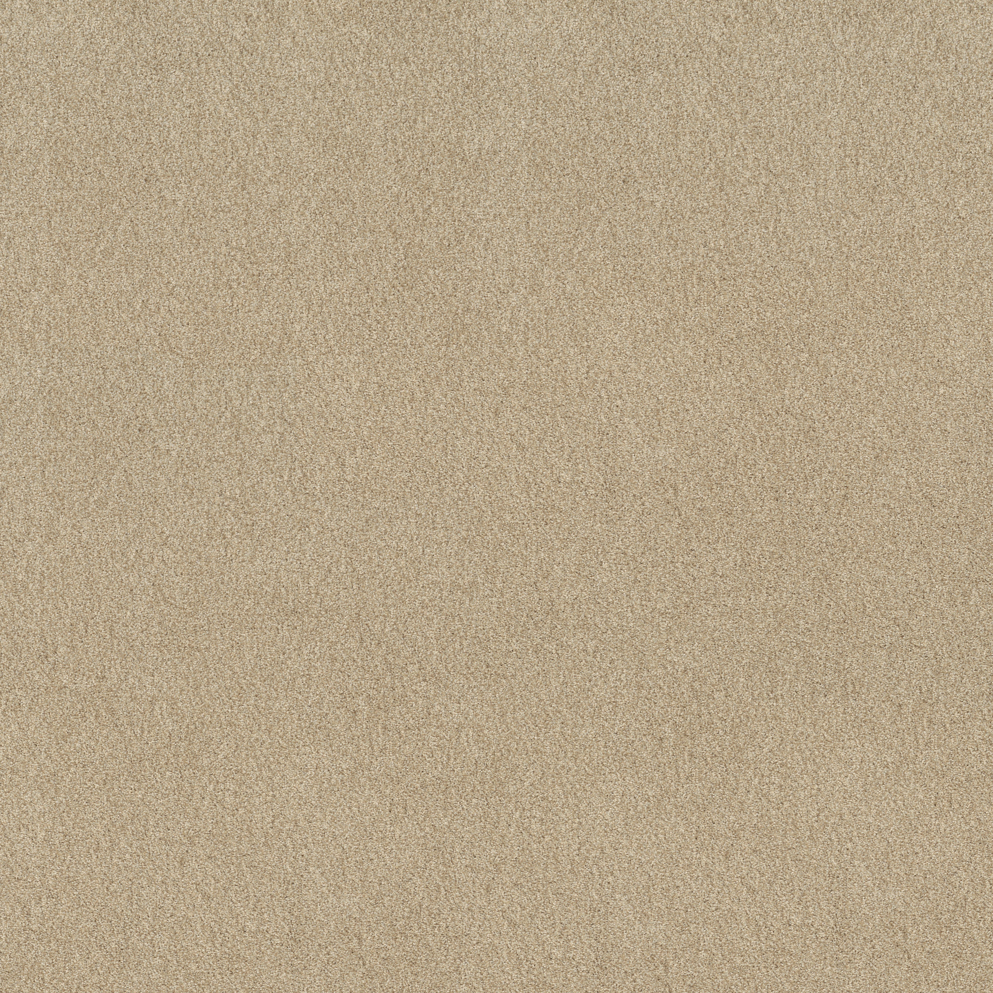 Find your comfort I - Tonal SUN KISSED (T) MAIN