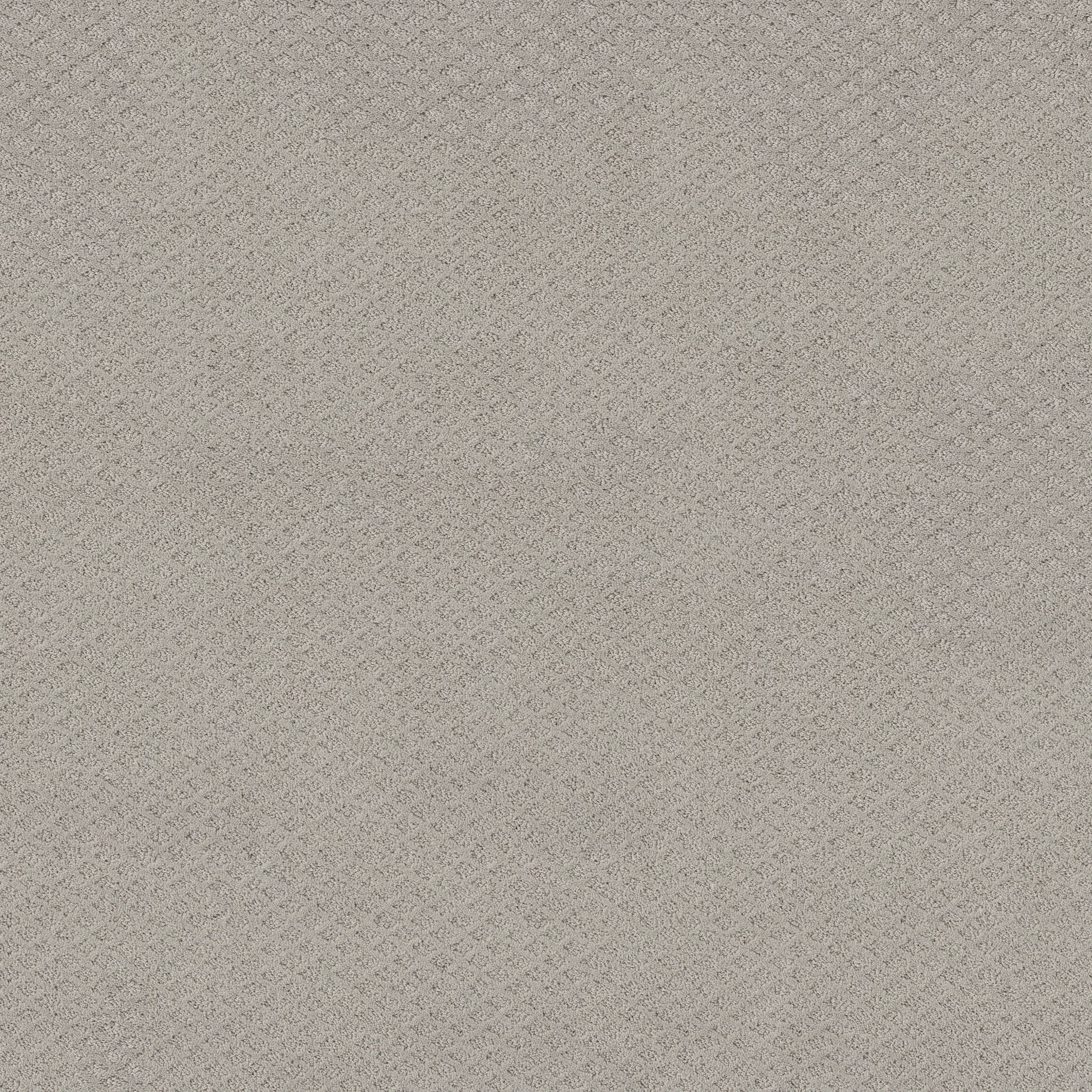 FORMALIZE SILVER LINING MAIN