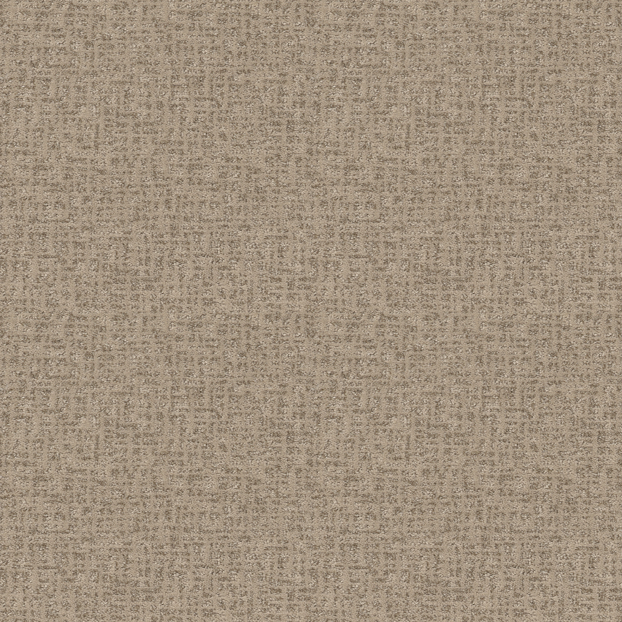 CABOODLE BLONDE MAIN