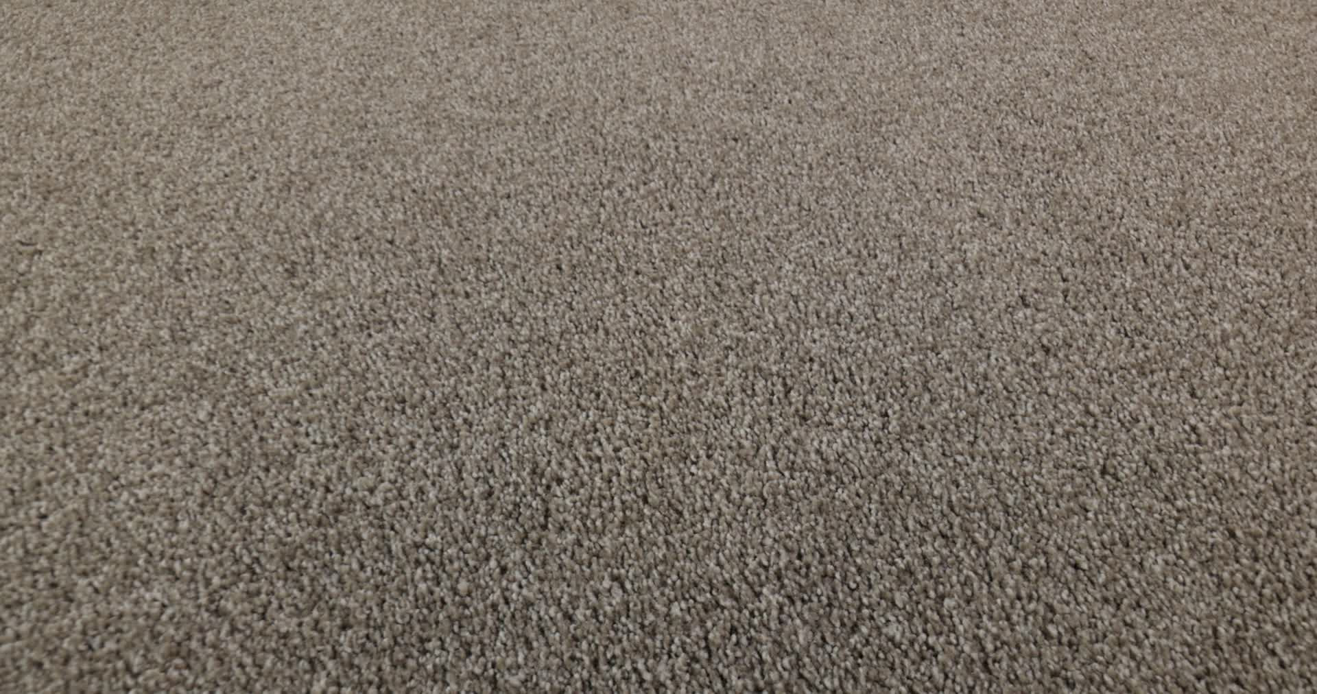 MAJORITY RULES COCOA 360PROD