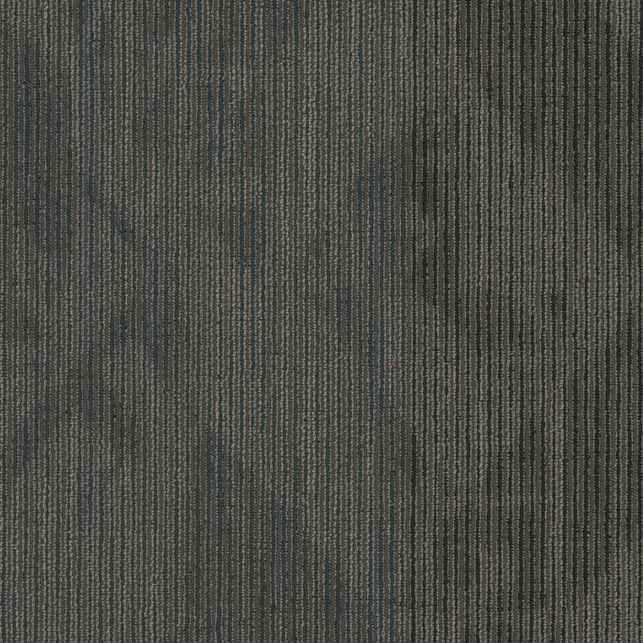 DECLARE-54904-HARD-NEWS-00502-main-image