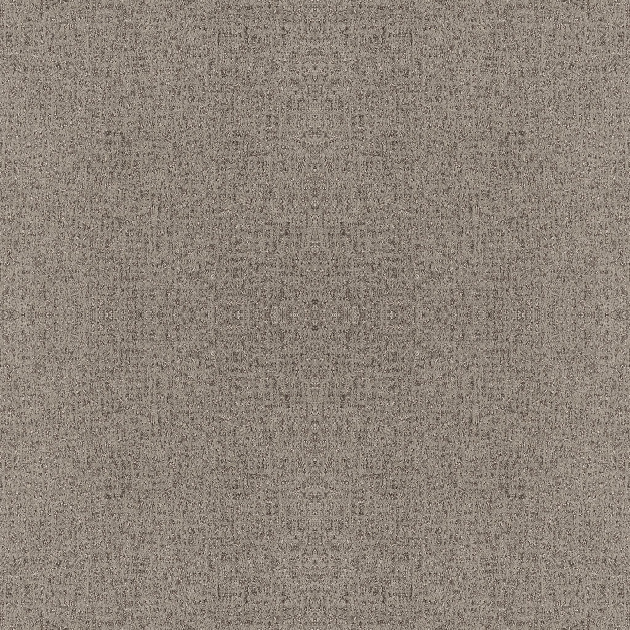 CABOODLE CONNECTED MAIN