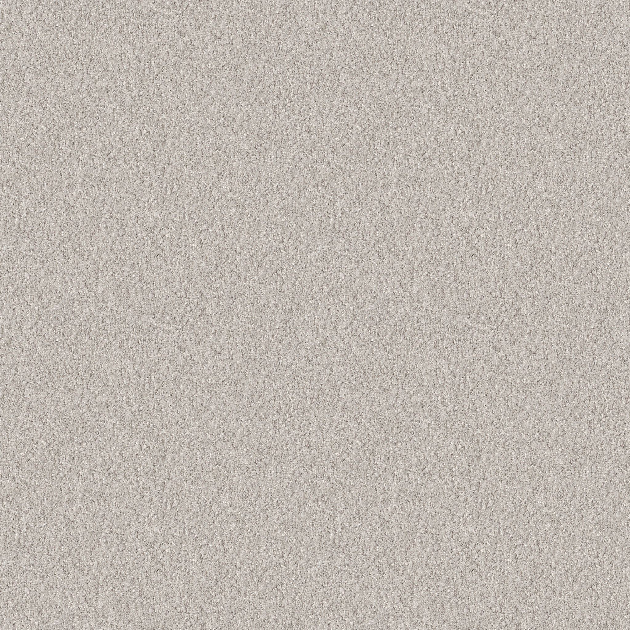 ALLURING CANVAS WINTERS DAWN MAIN