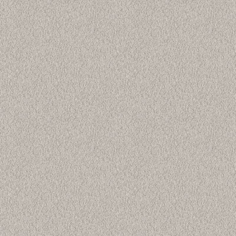 Alluring Canvas 5E445 Broadloom Carpet in Champagne Toast color, 12ft wide, 100% nylon material