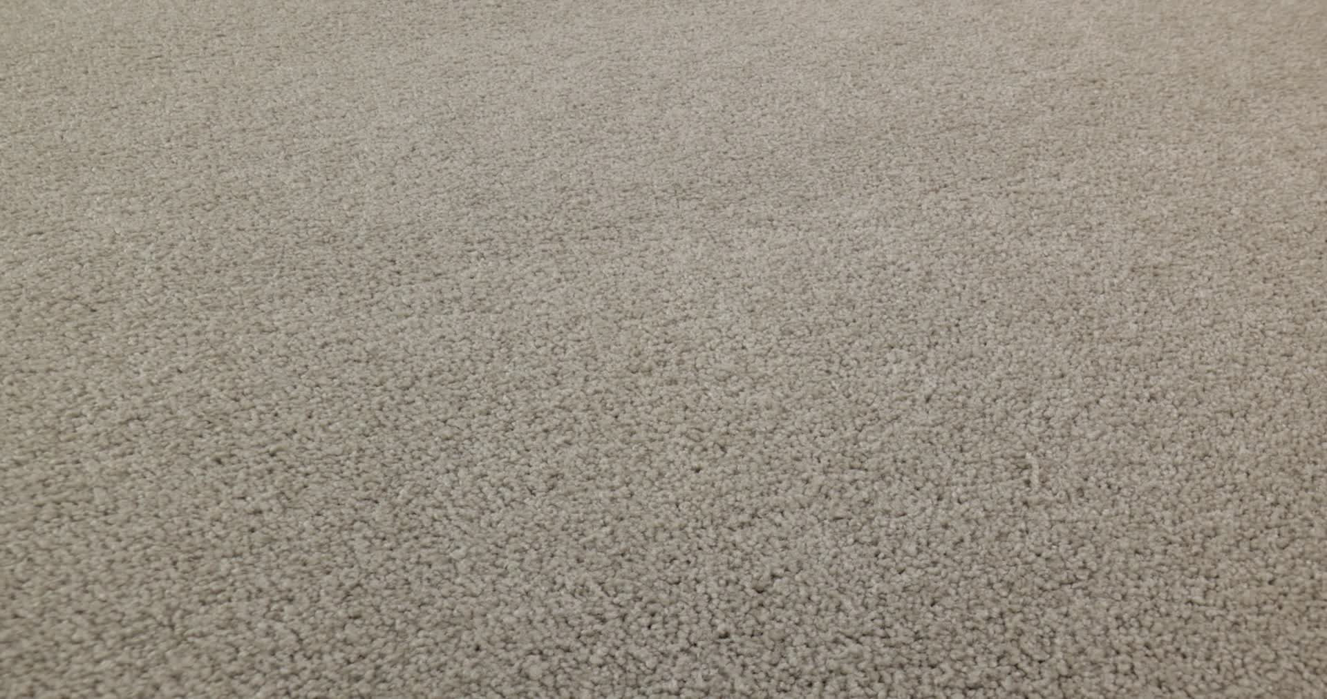 LOOK FORWARD GREIGE 360PROD