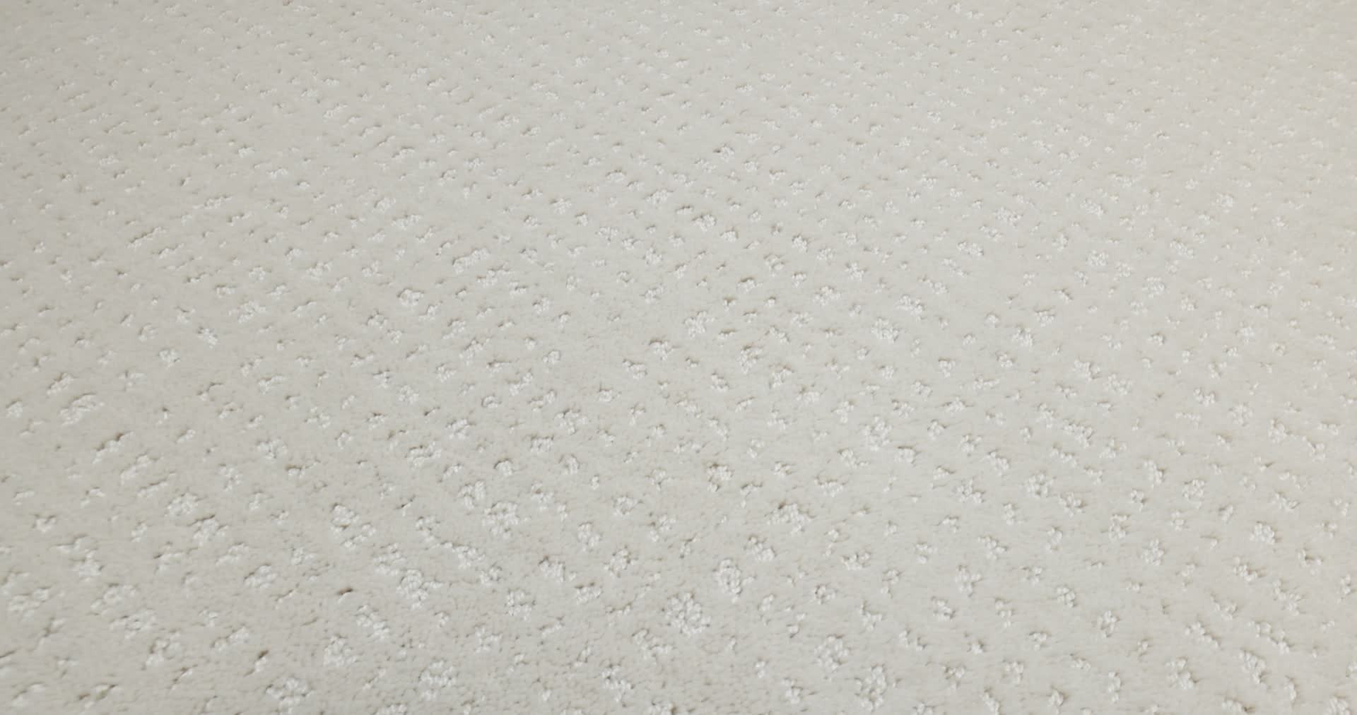 VIVID MEMORIES CHAMPAGNE TOAST 360PROD