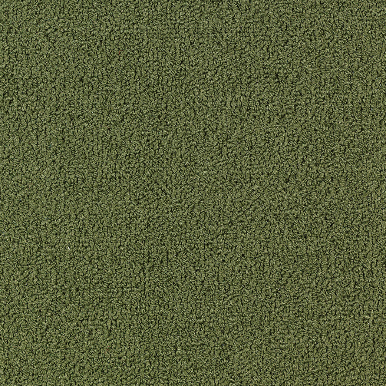 COLOR-ACCENTS-BL-54584-CACTUS-62370-main-image