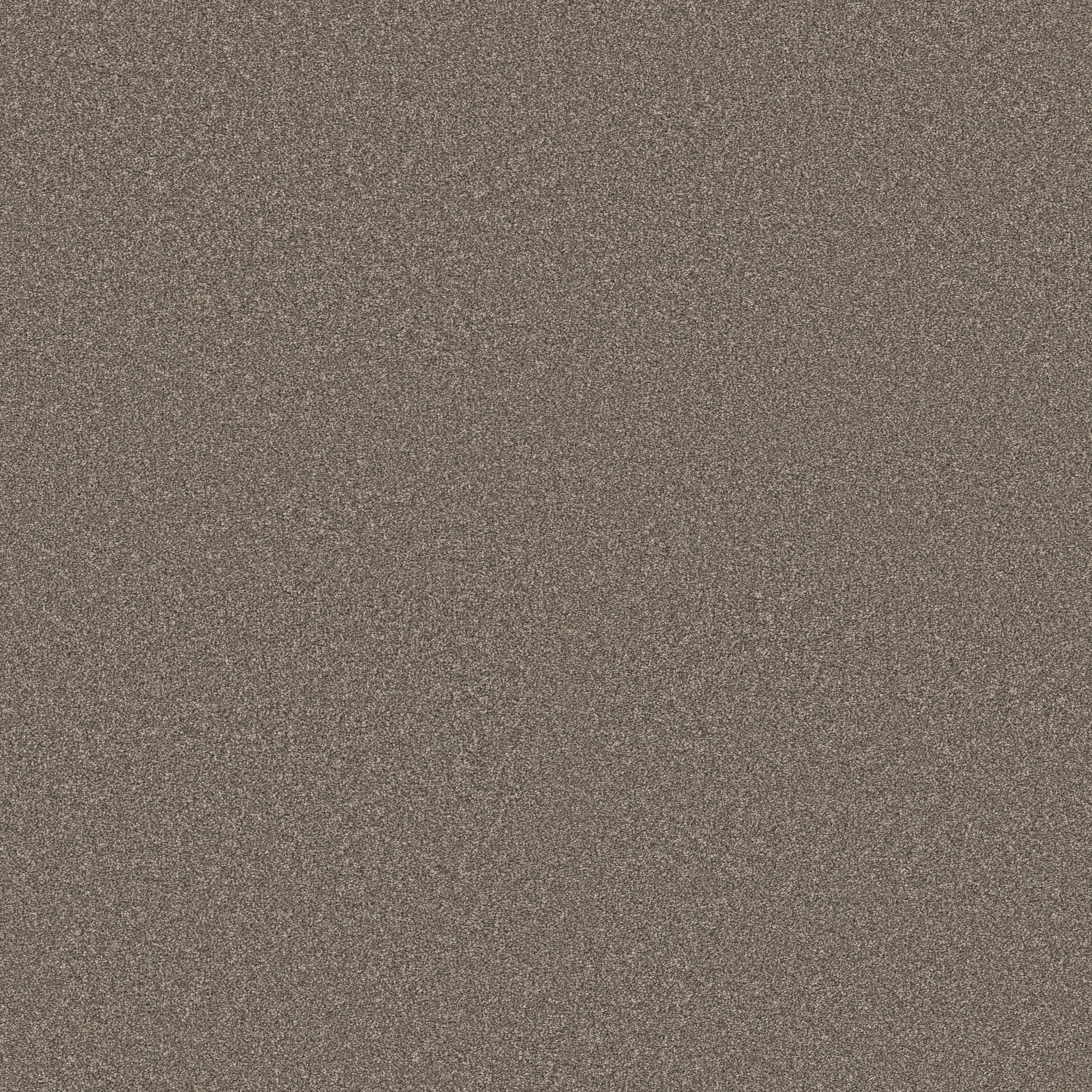 CLASSIC TONE NIGHT OWL MAIN