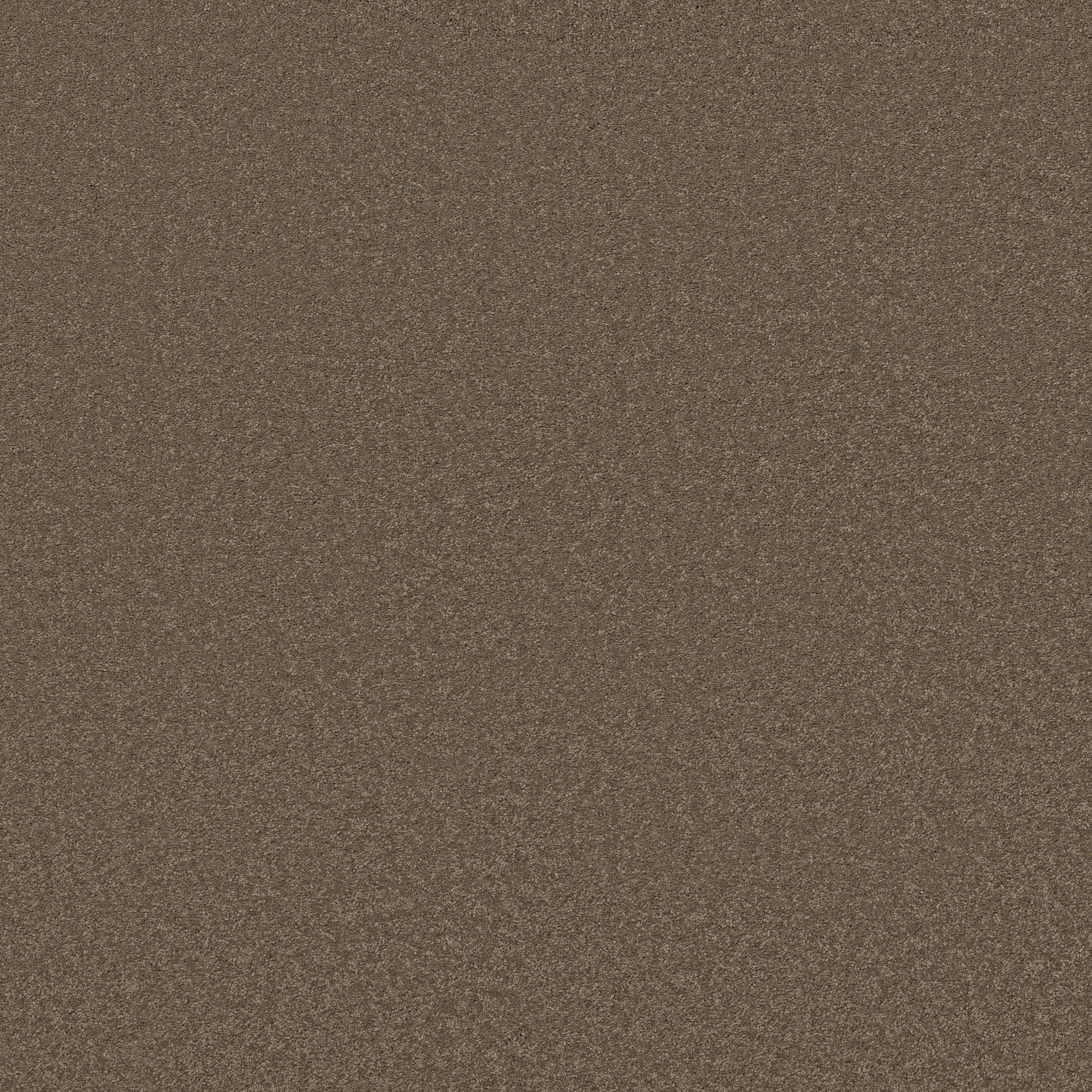 ELEGANT BEAUTY CARAFE MAIN