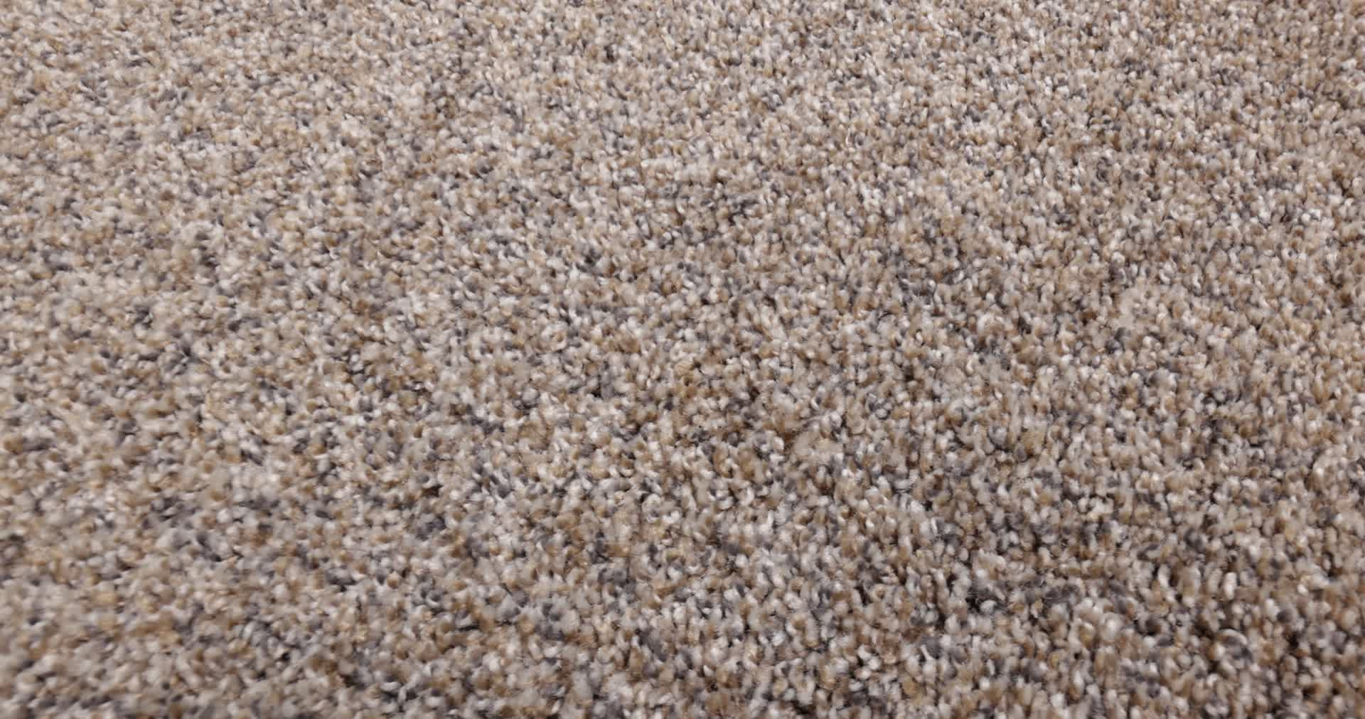 ALWAYS RIGHT I GOOSE FEATHER 360PROD