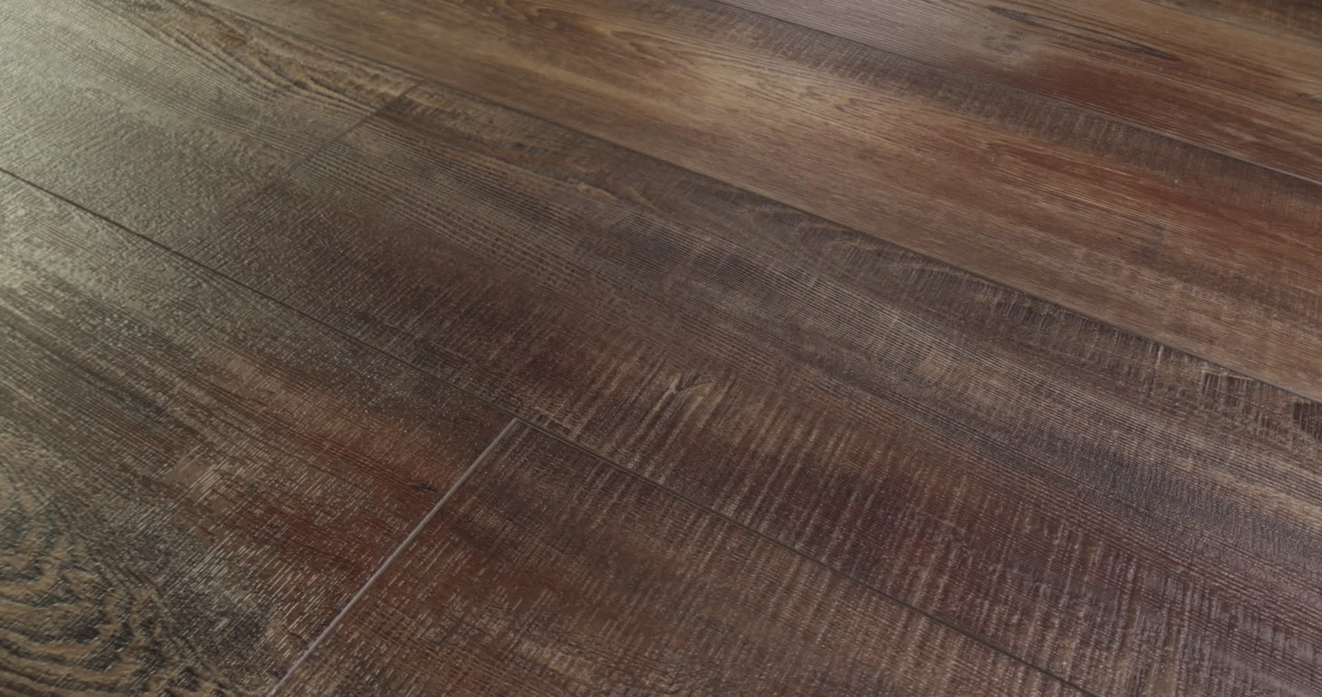 PANTHEON HD PLUS ORSO 360PROD