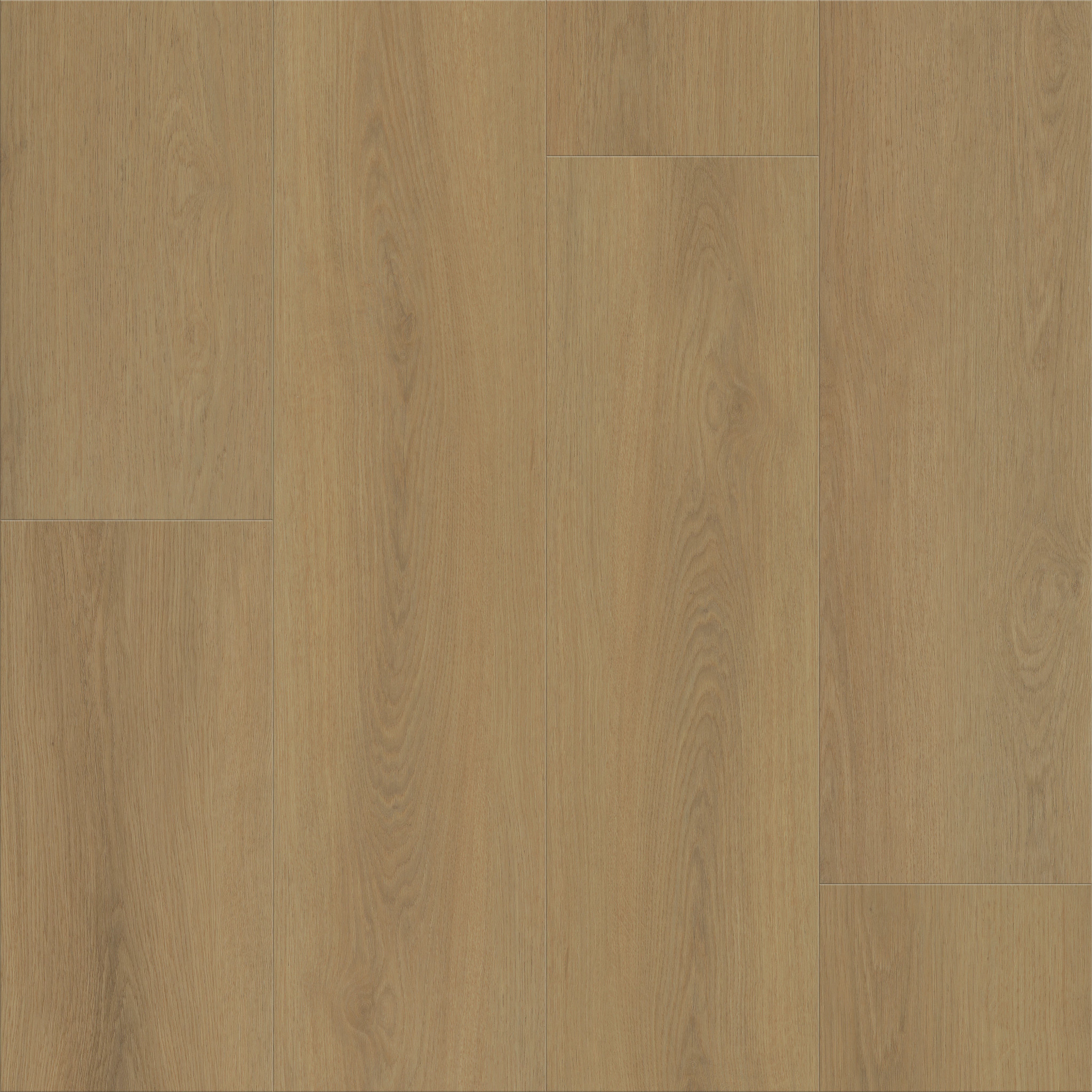 Dwell WARM HONEY MAIN